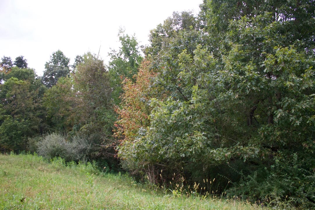 Heritage Hollow Tract 27 photo 4