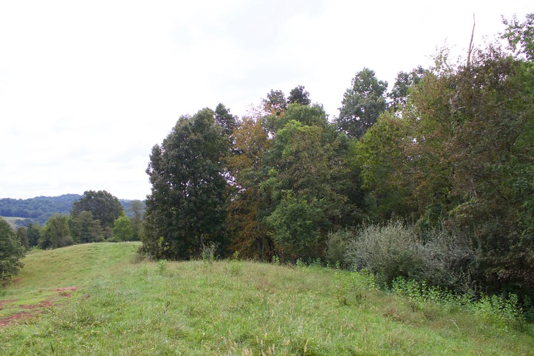 Heritage Hollow Tract 27 photo 5
