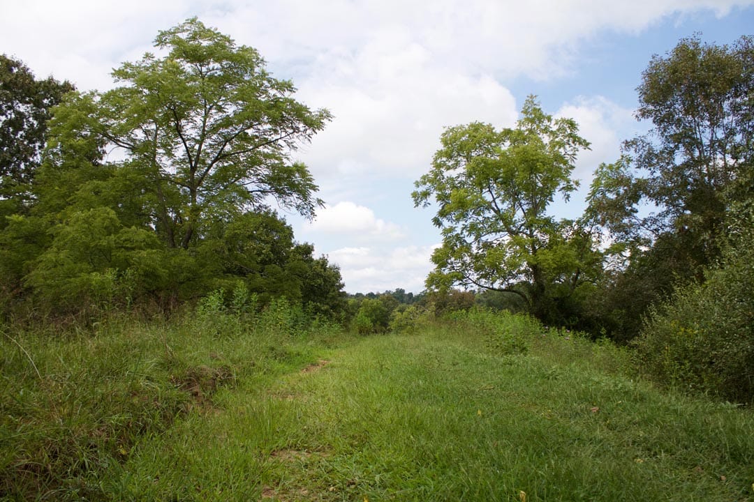 Heritage Hollow Tract 27 photo 6