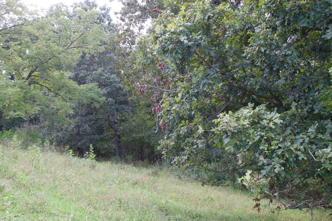 Heritage Hollow Tract 27 photo 10