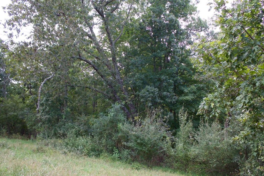 Heritage Hollow Tract 27 photo 11