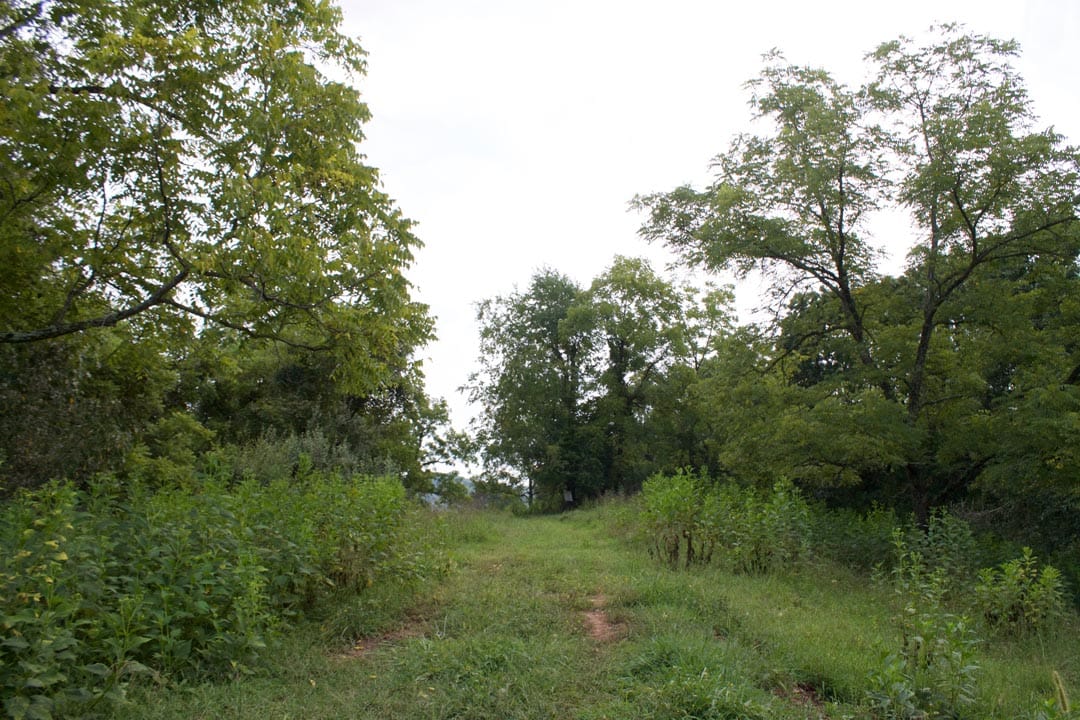 Heritage Hollow Tract 27 photo 12