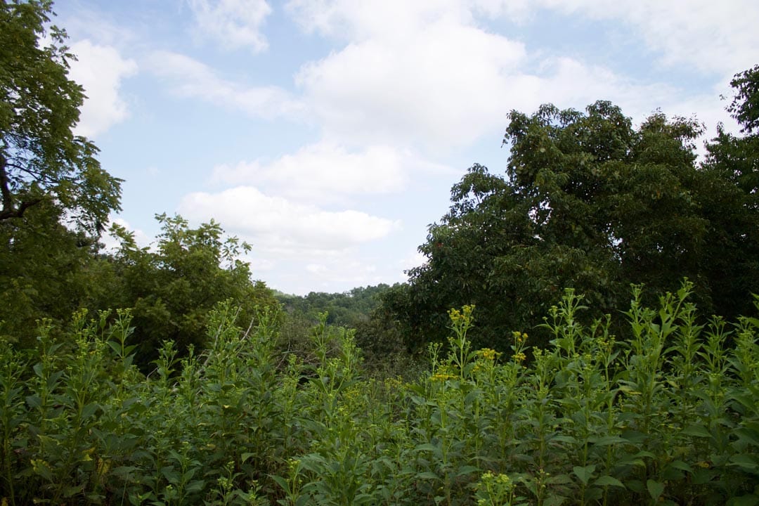 Heritage Hollow Tract 27 photo 13