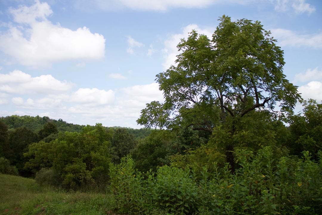 Heritage Hollow Tract 27 photo 14