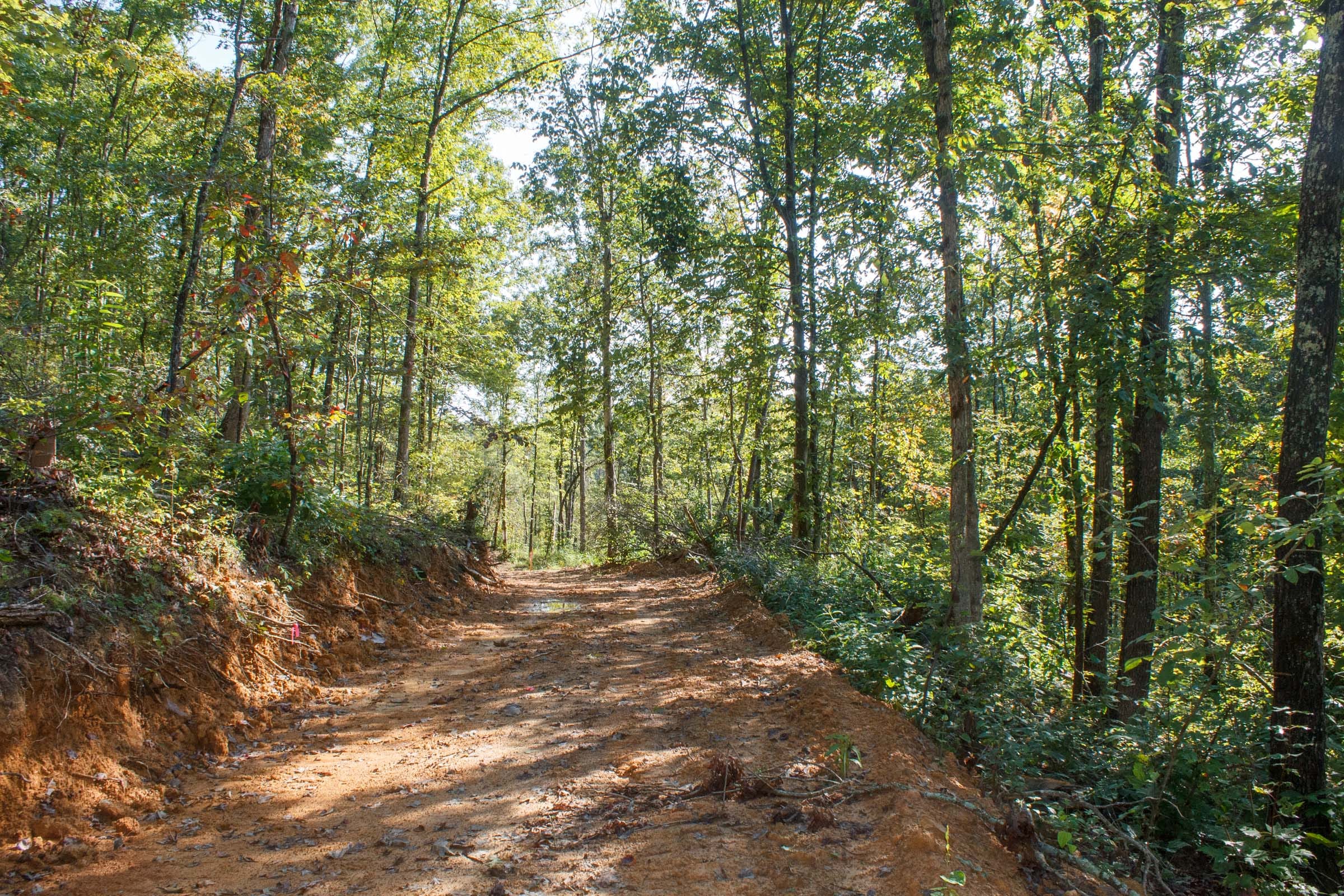 Wounded Oak Tract 8 photo 2