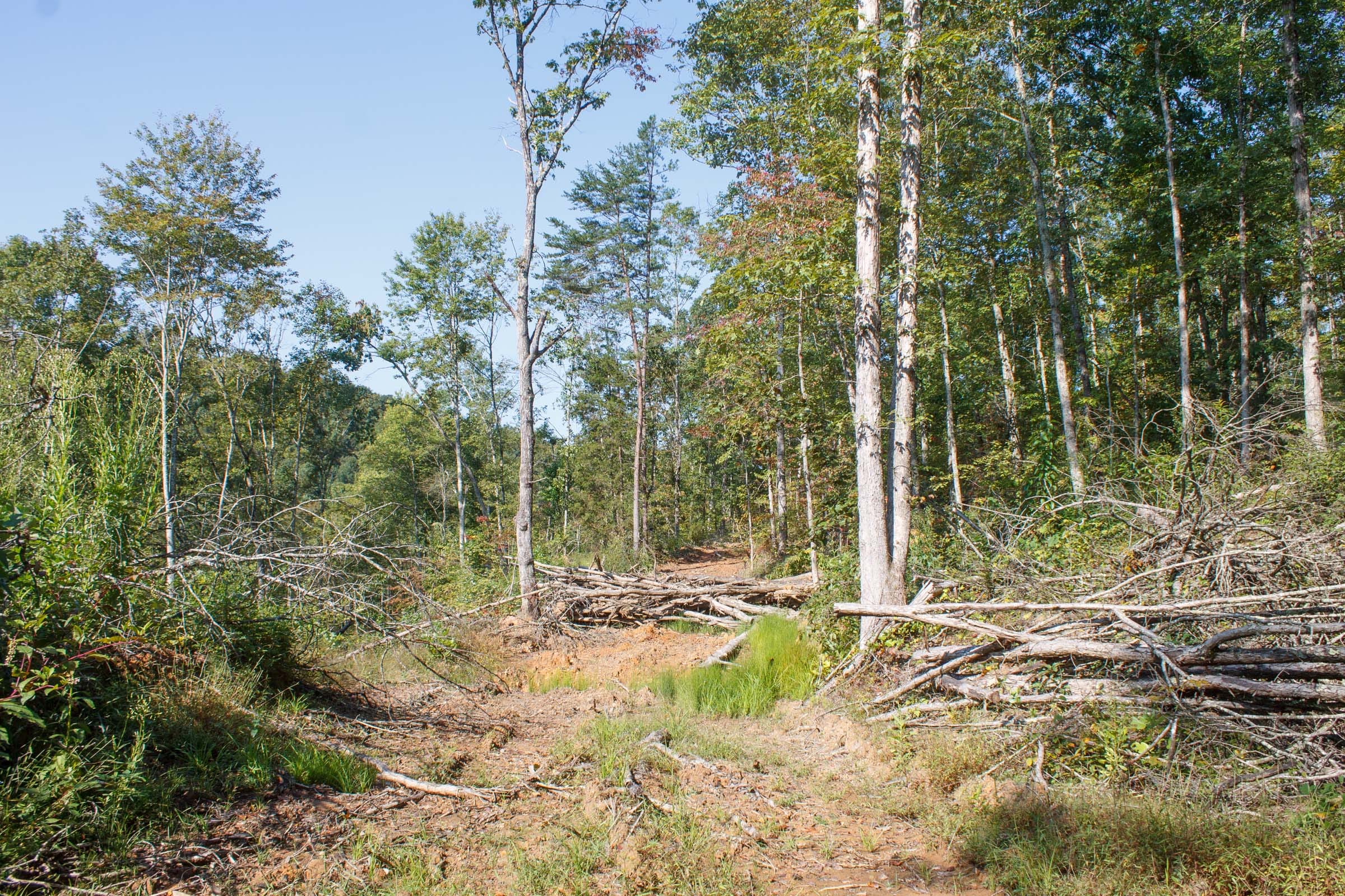 Wounded Oak Tract 8 photo 8