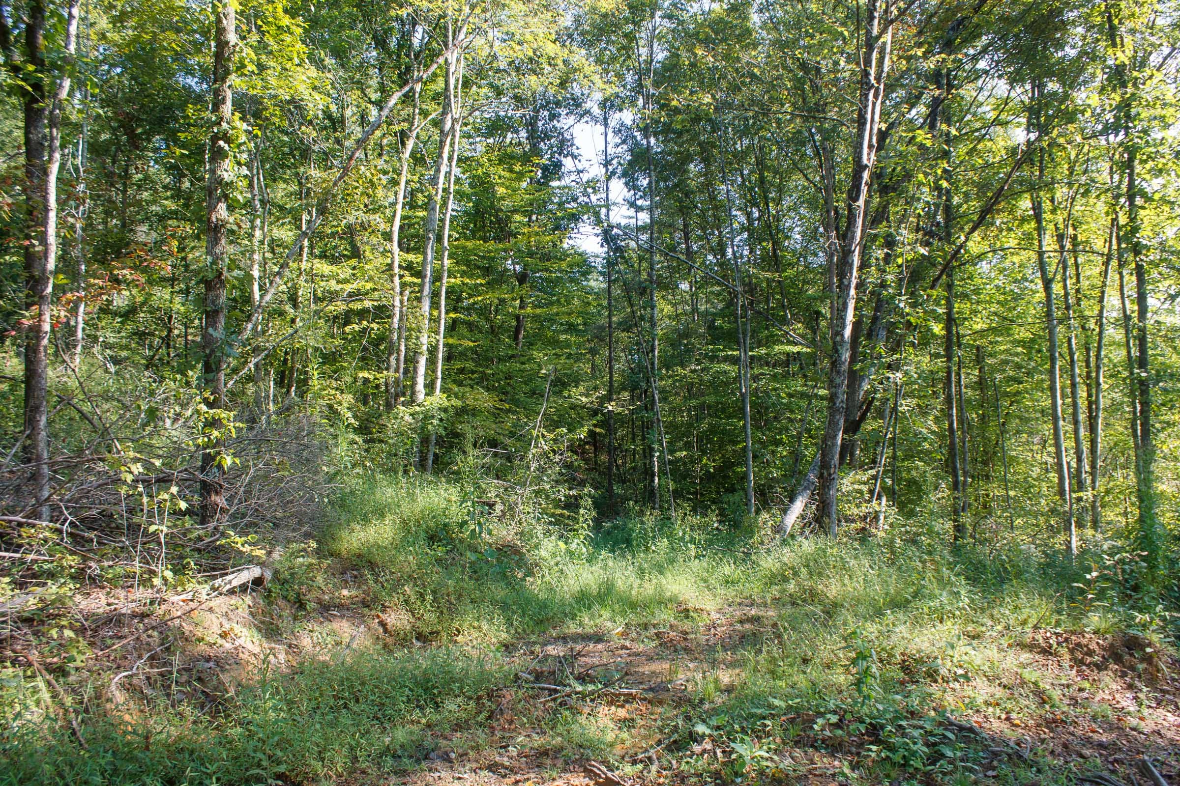 Wounded Oak Tract 8 photo 9