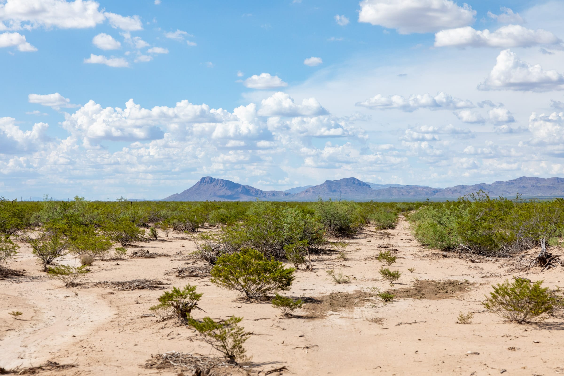 Horizon’s Edge Tract 4 photo 2