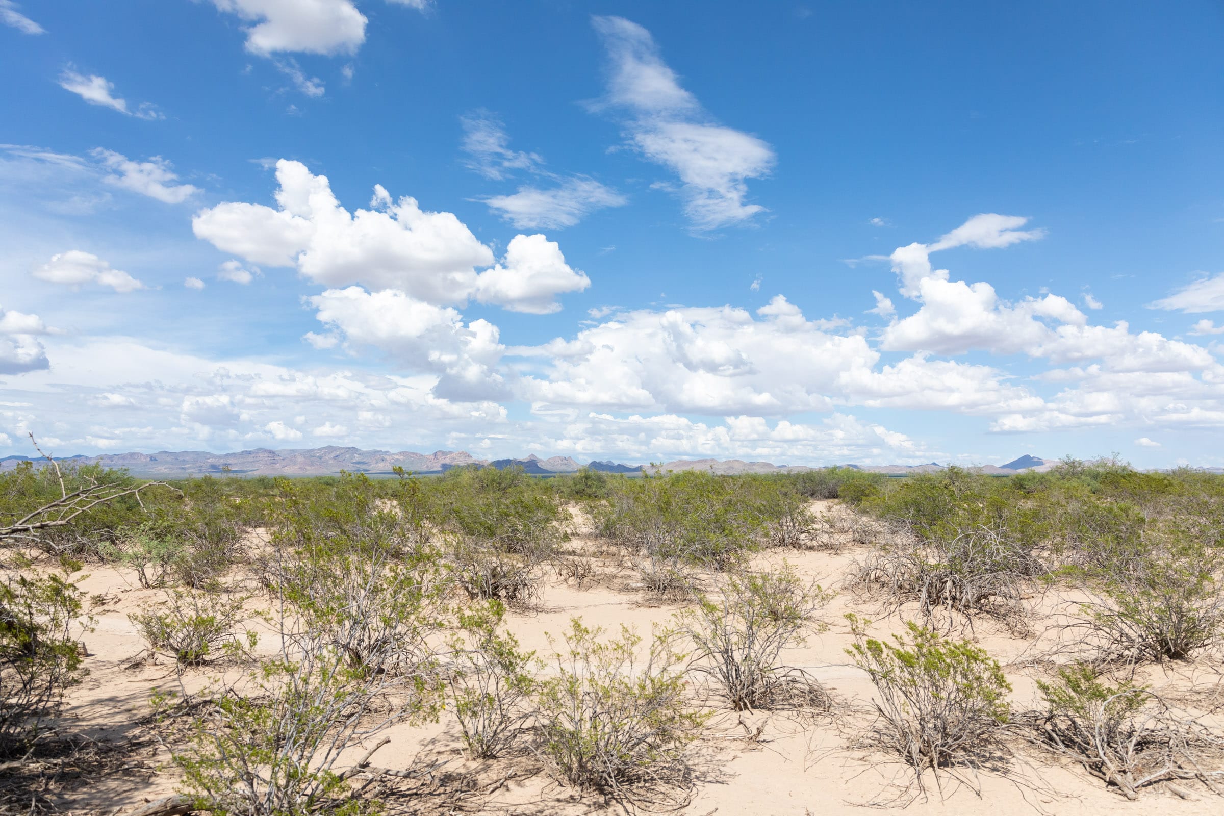 Horizon’s Edge Tract 4 photo 3