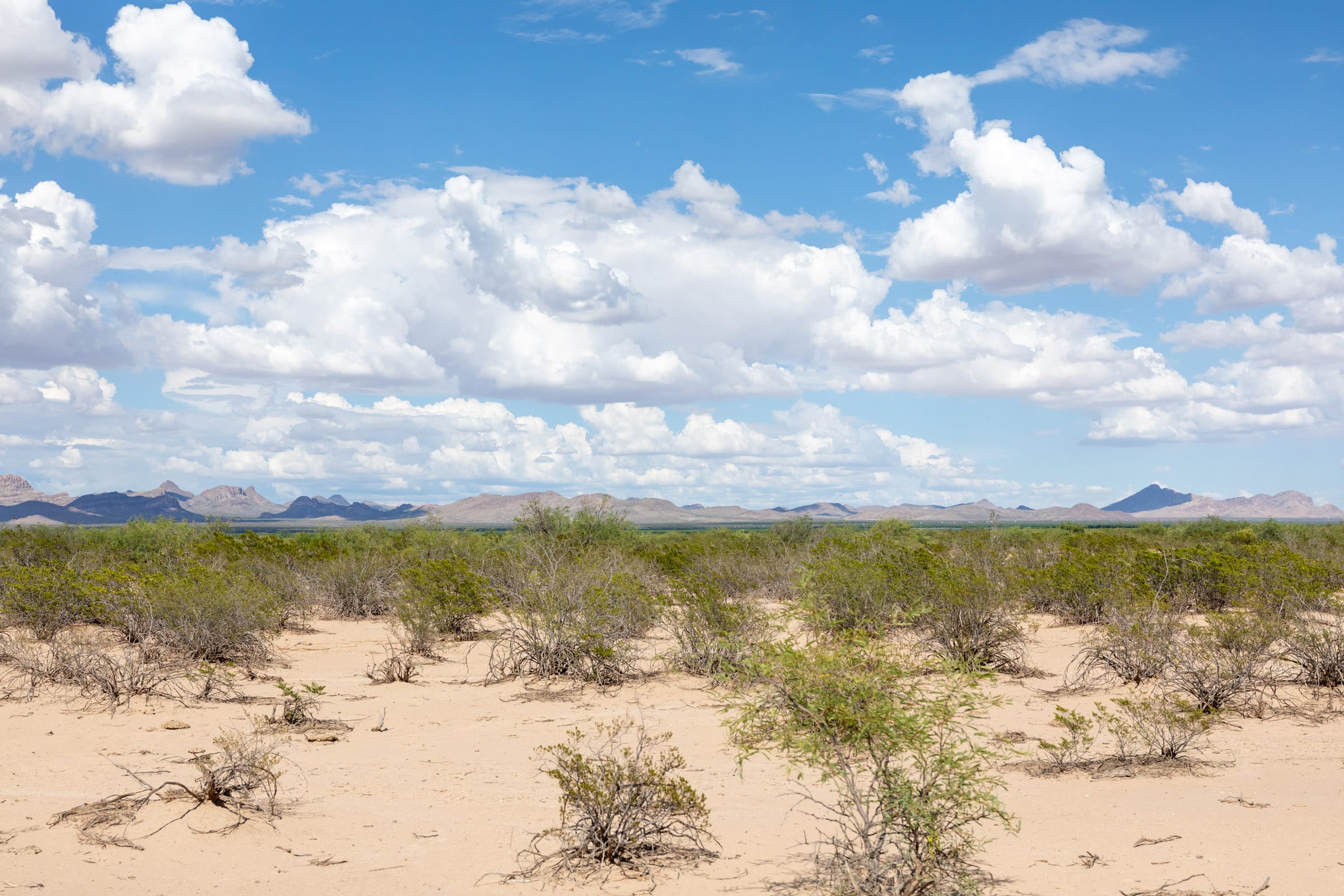 Horizon’s Edge Tract 4 photo 5