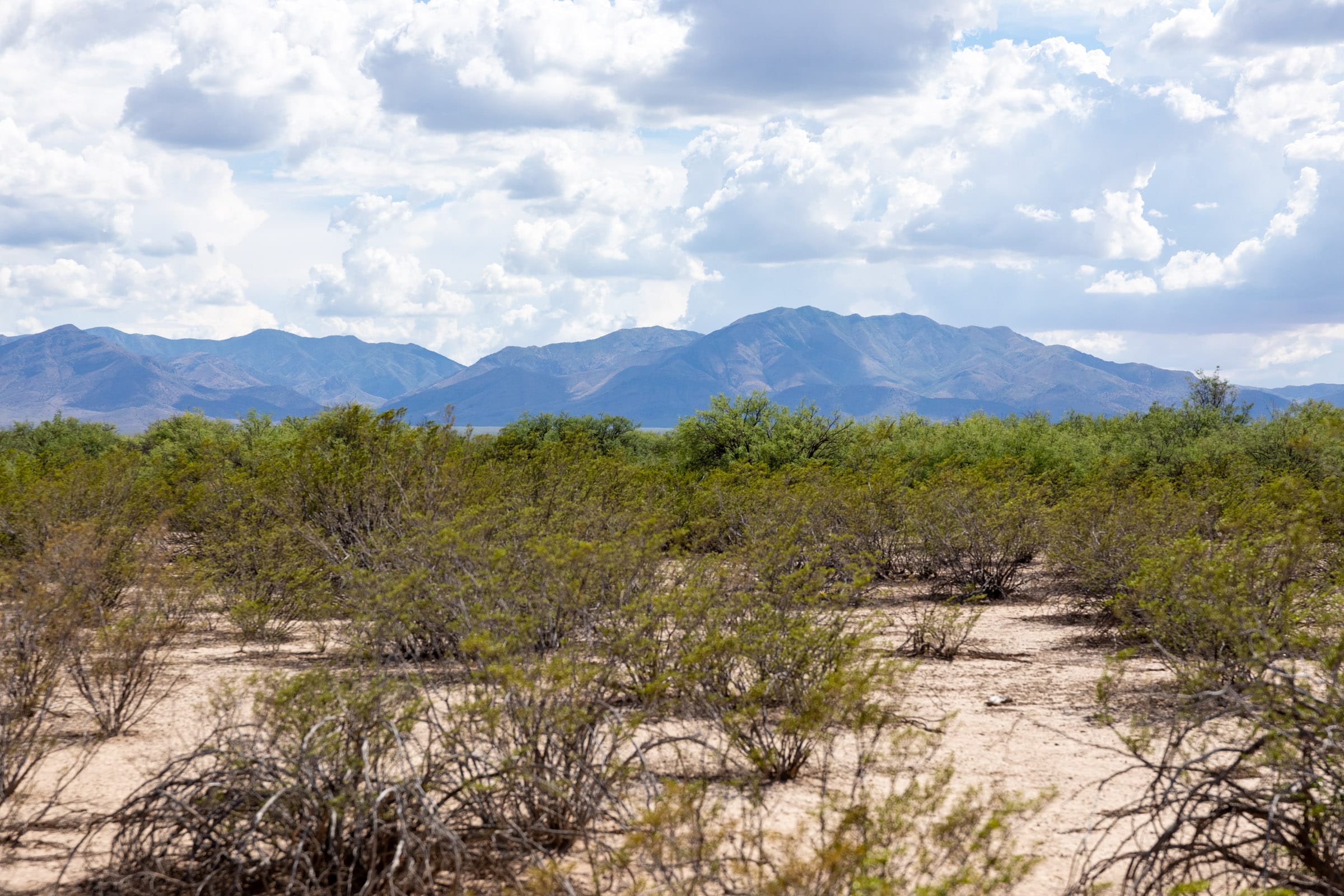 Horizon’s Edge Tract 4 photo 7