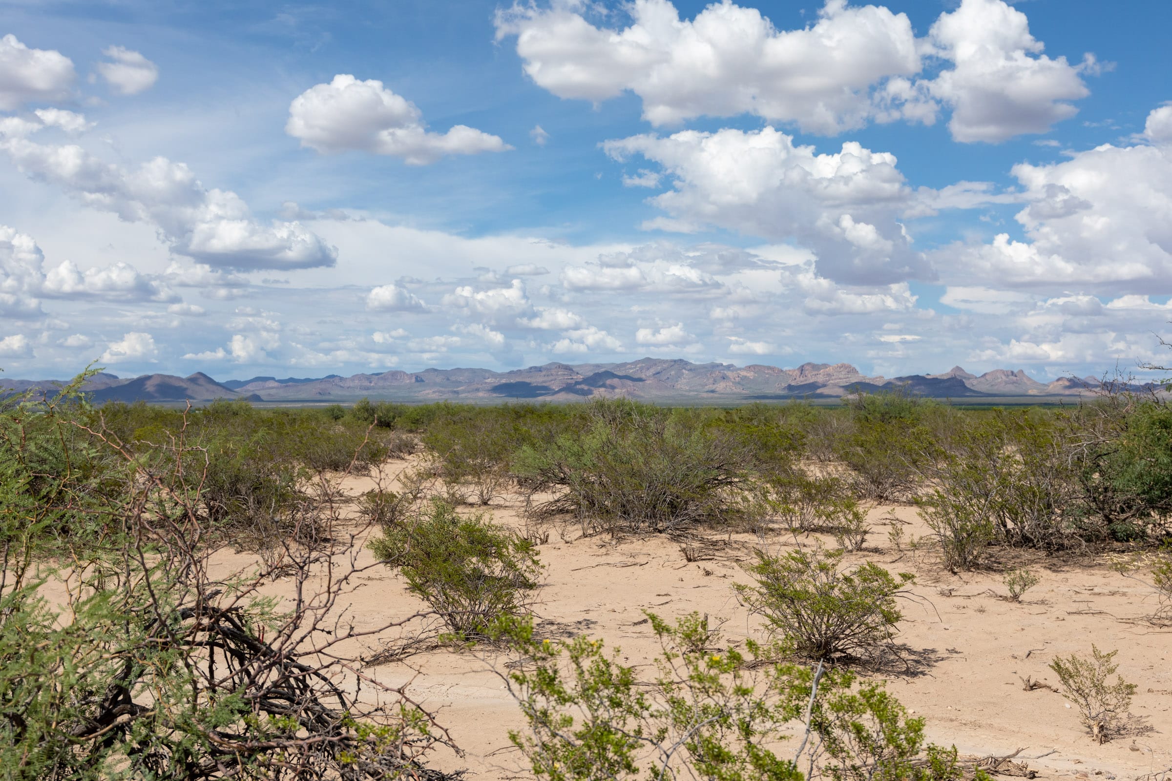 Horizon’s Edge Tract 4 photo 9