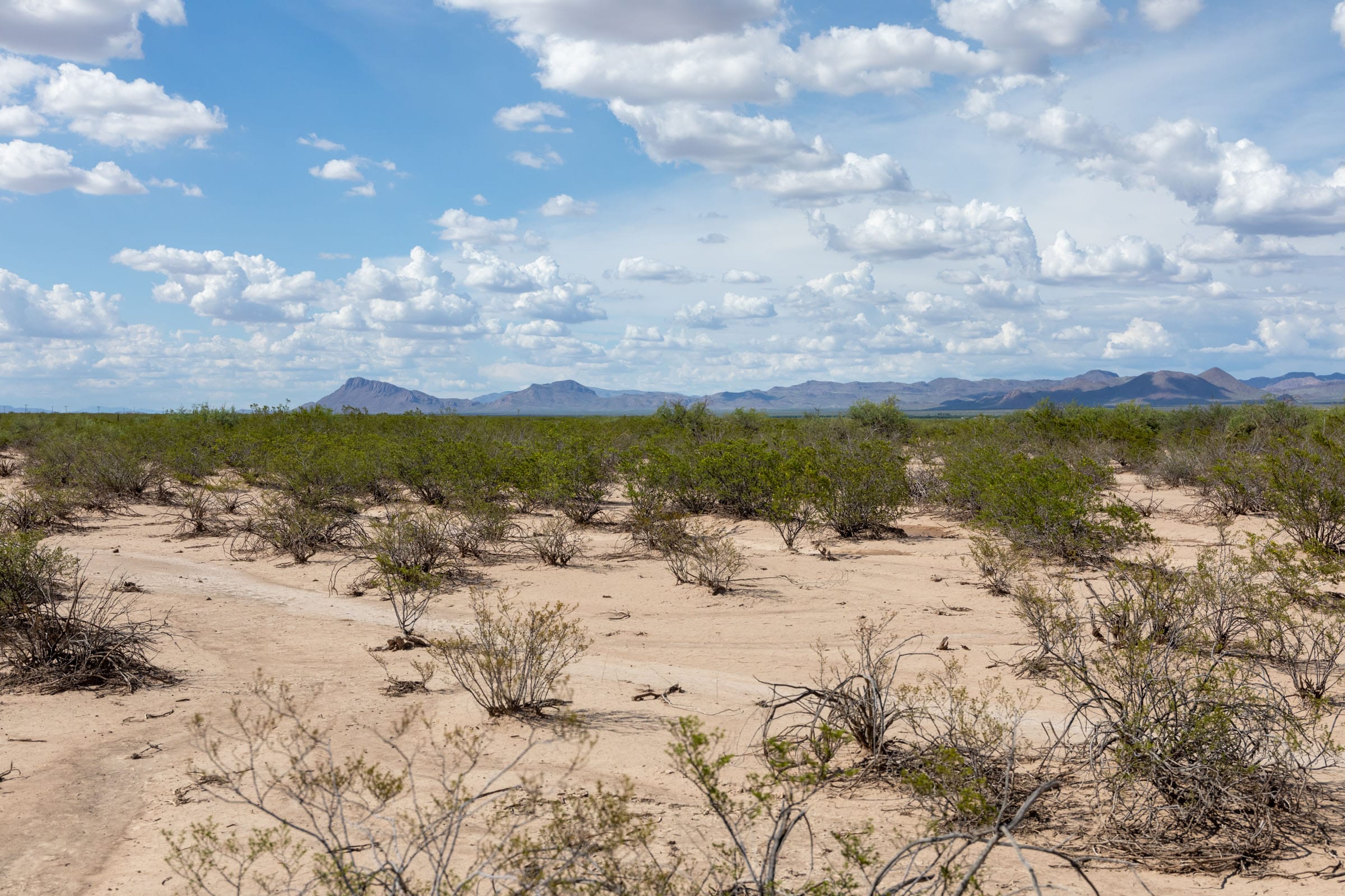 Horizon’s Edge Tract 4 photo 11