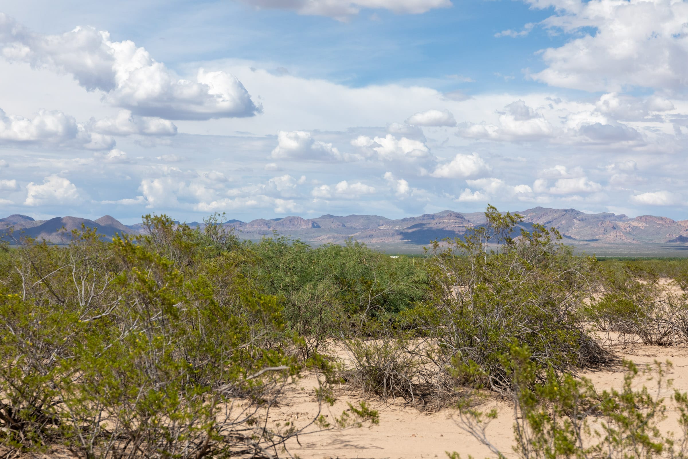 Horizon’s Edge Tract 4 photo 12