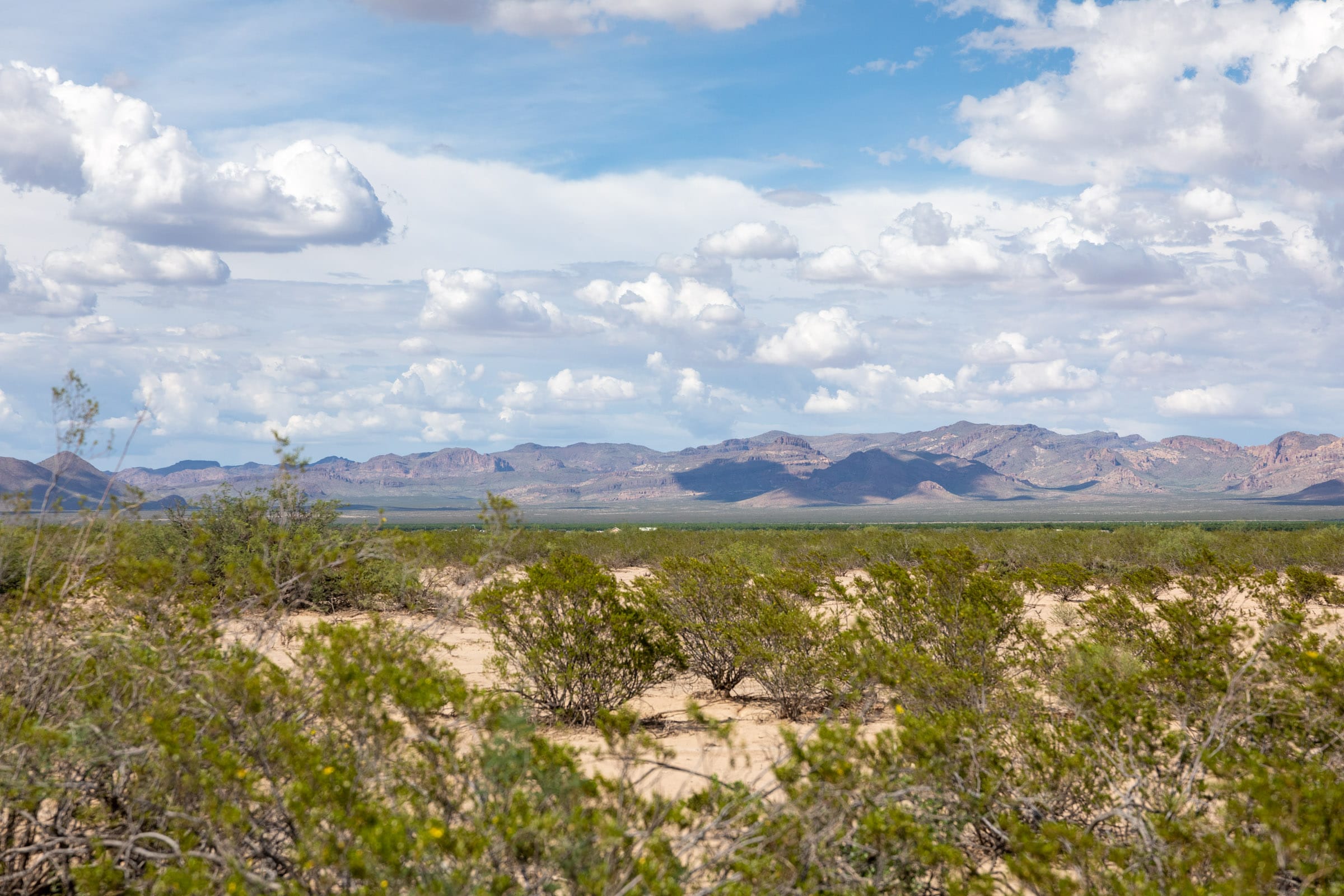 Horizon’s Edge Tract 4 photo 14