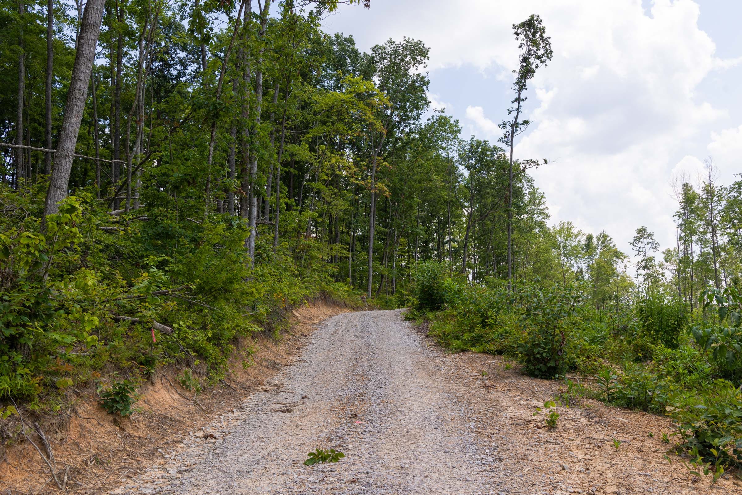 Creek Hollow Phase II Tract 56 photo 4