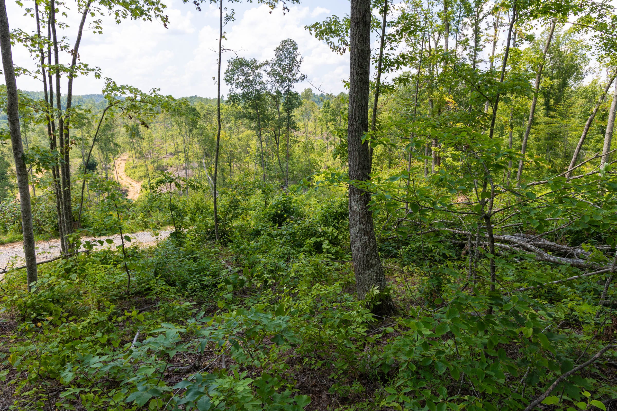 Creek Hollow Phase II Tract 56 photo 9