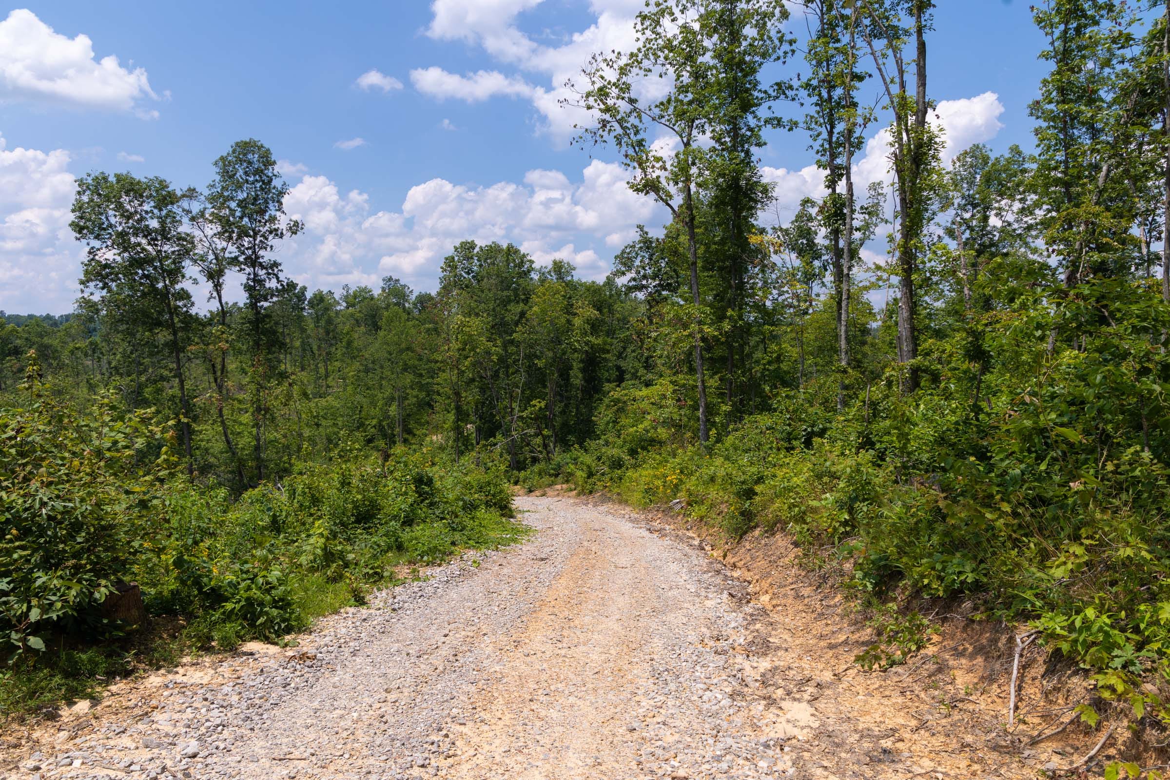 Creek Hollow Phase II Tract 56 photo 1