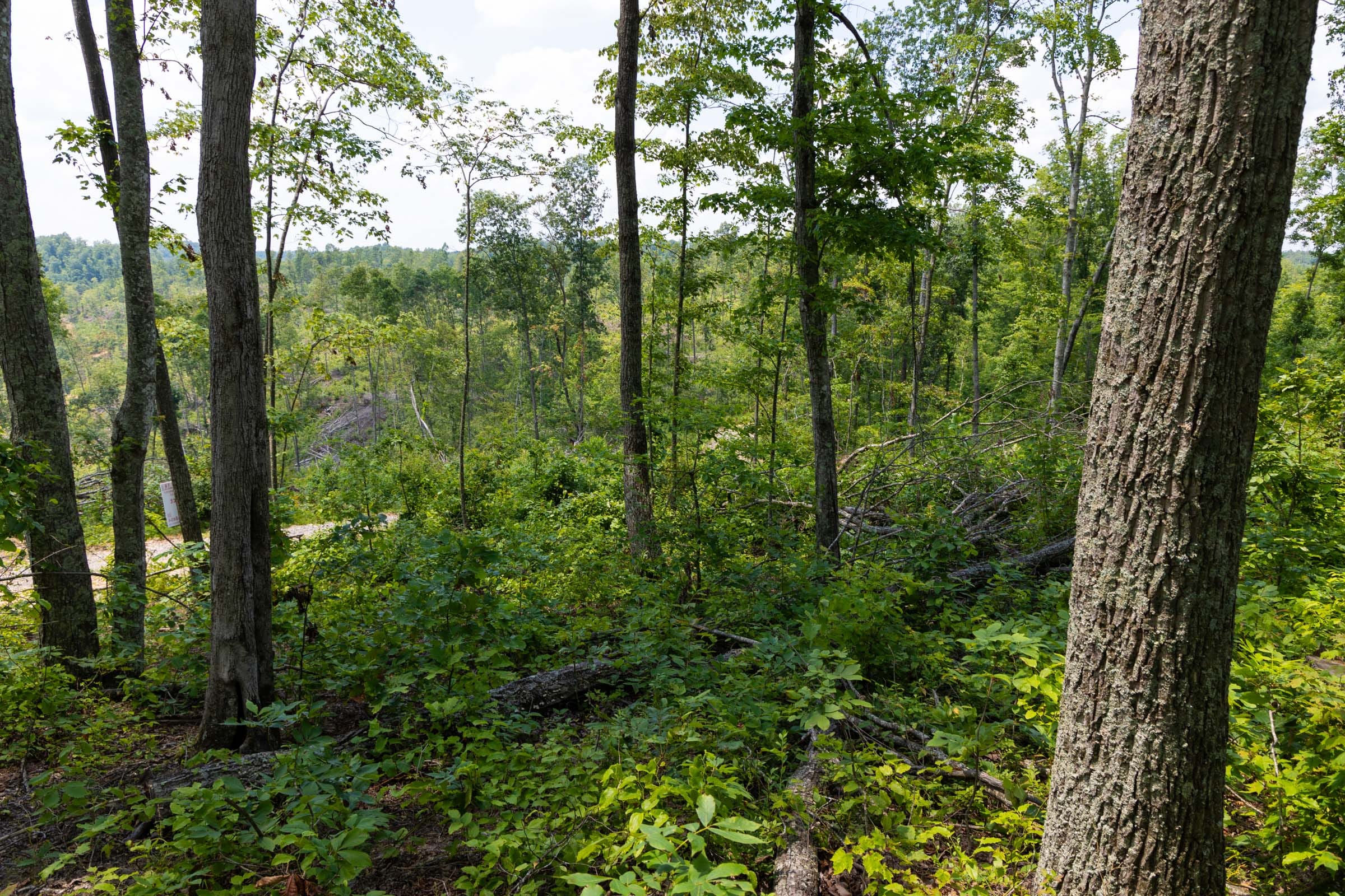 Creek Hollow Phase II Tract 56 photo 12