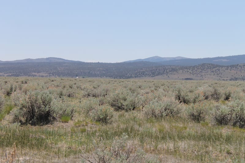 Moon Valley Ranch Tract 122 photo 9