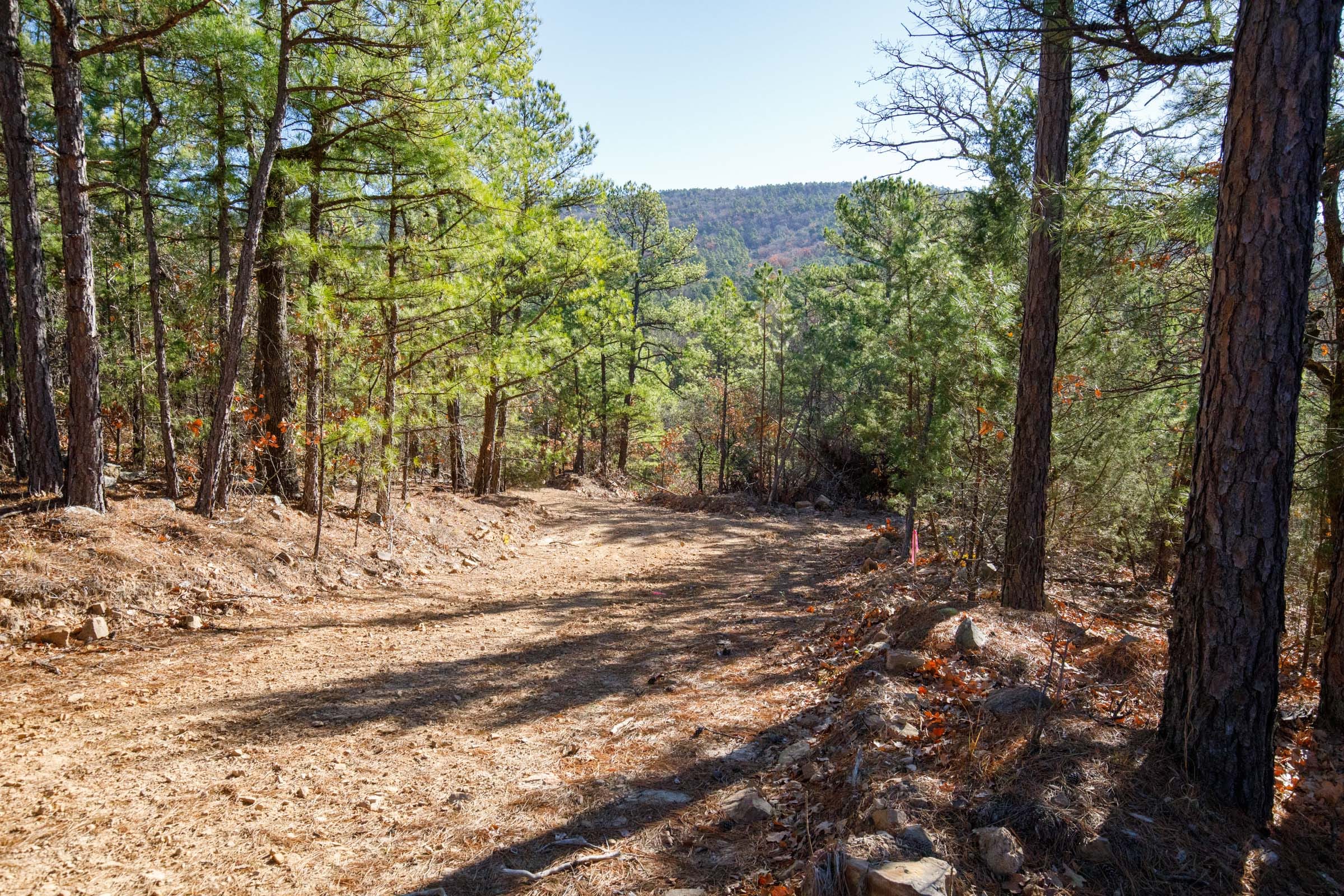 Stone Bridge Phase II Tract 107 photo 6