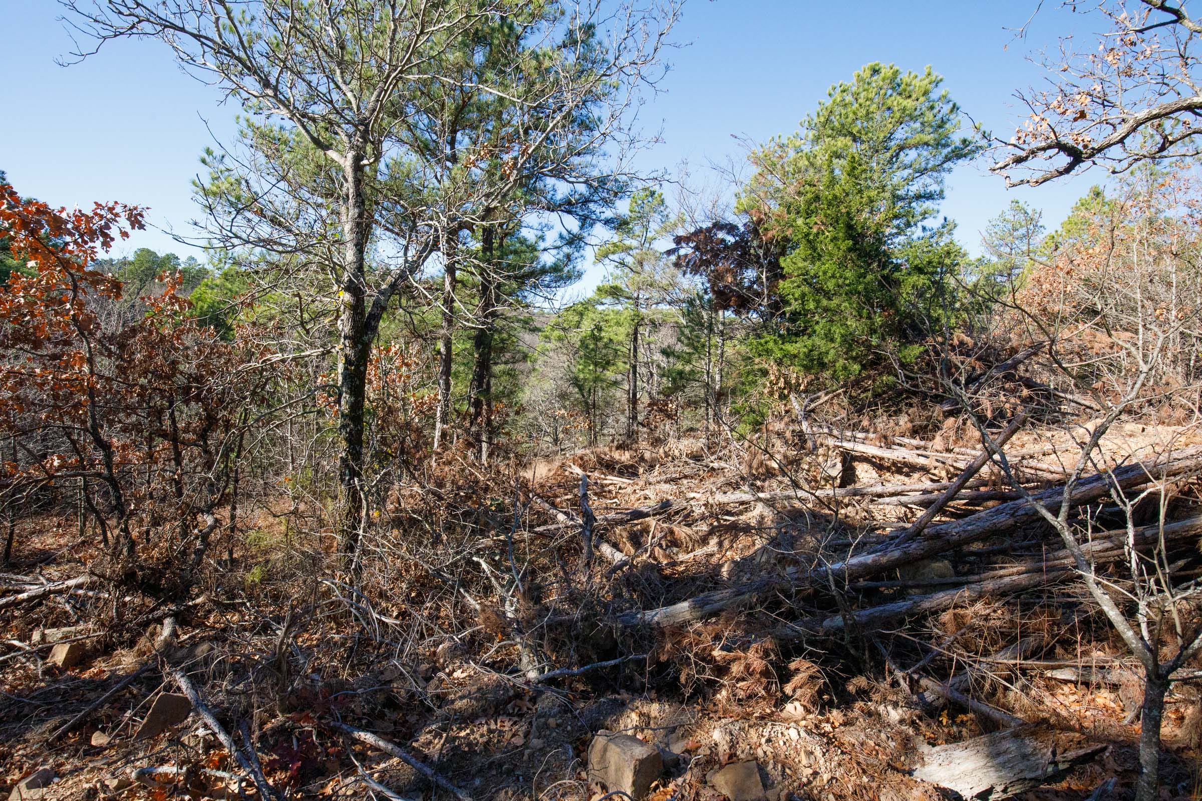 Stone Bridge Phase II Tract 107 photo 5