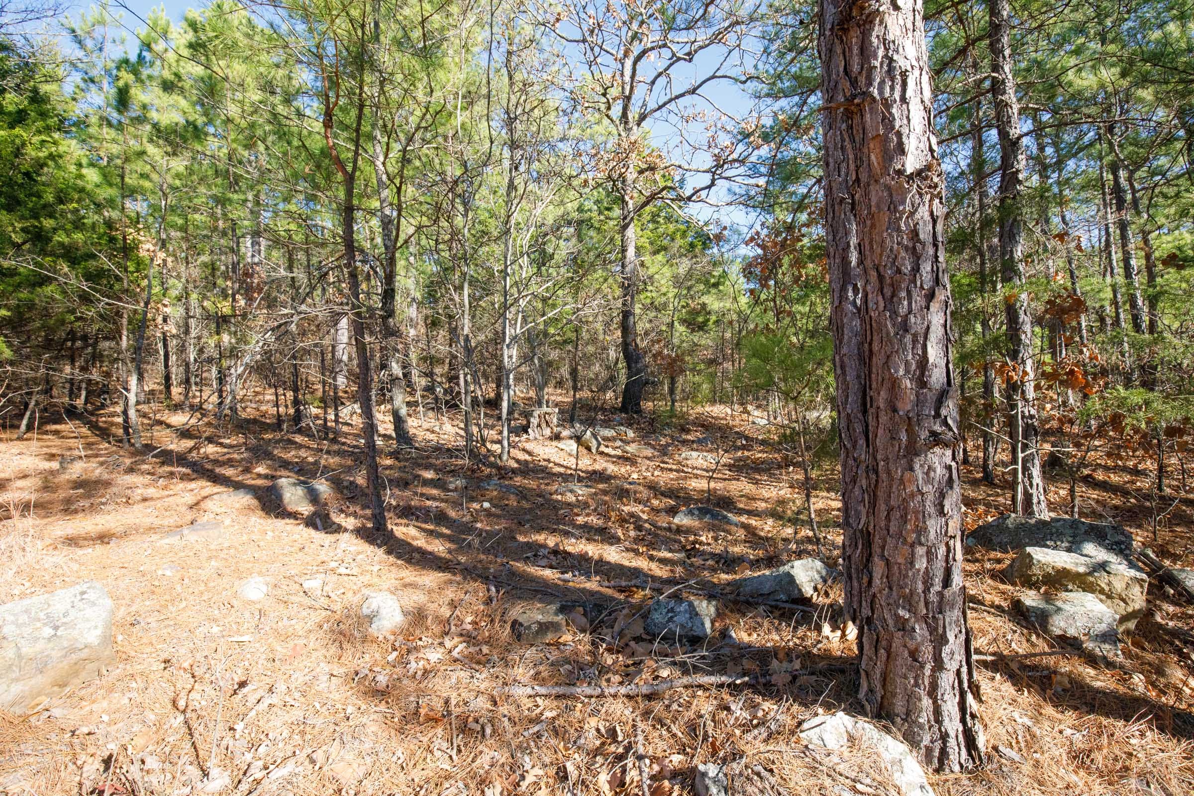 Stone Bridge Phase II Tract 107 photo 8