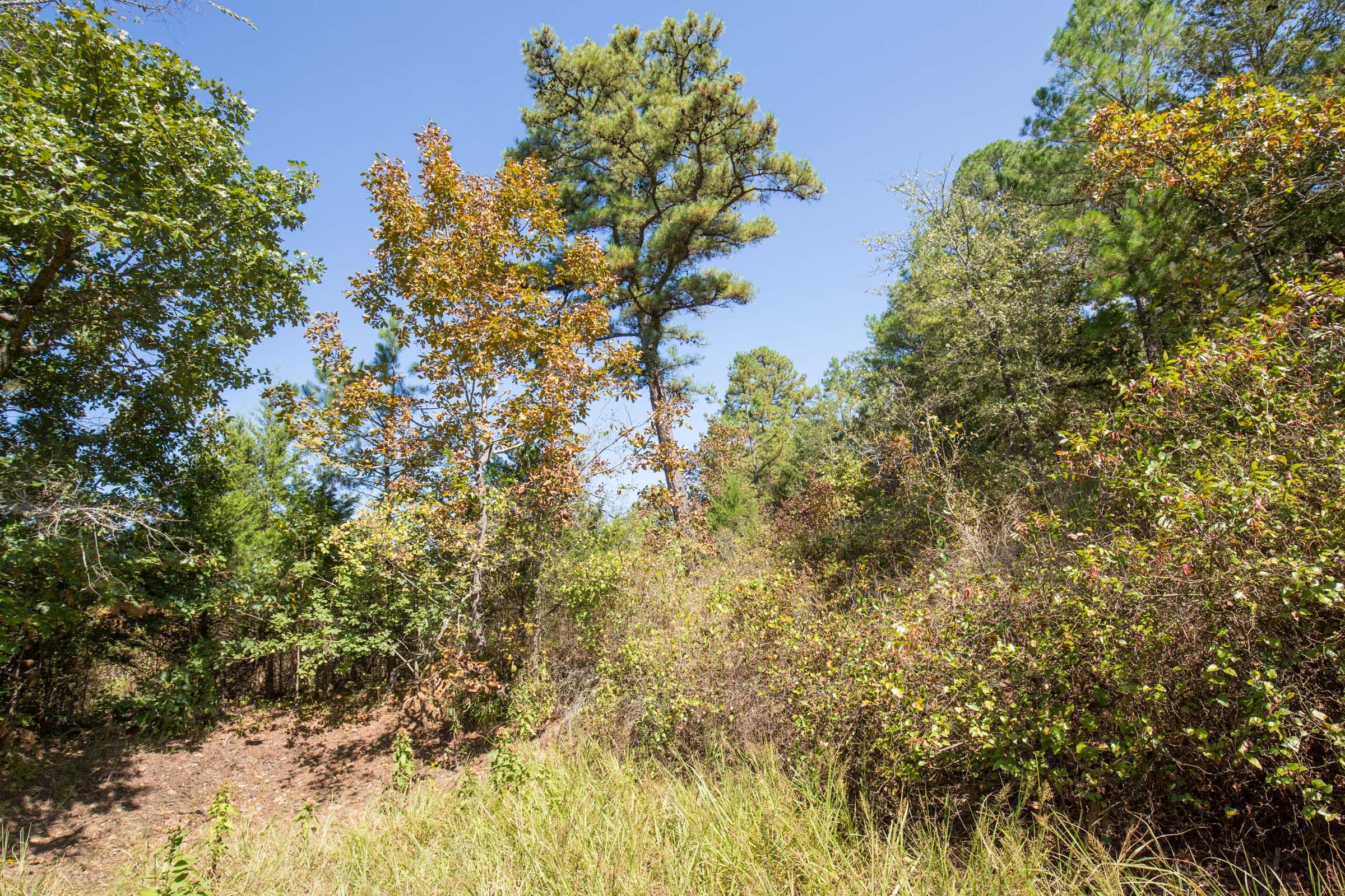 Stone Bridge Phase I Tract 23 photo 6