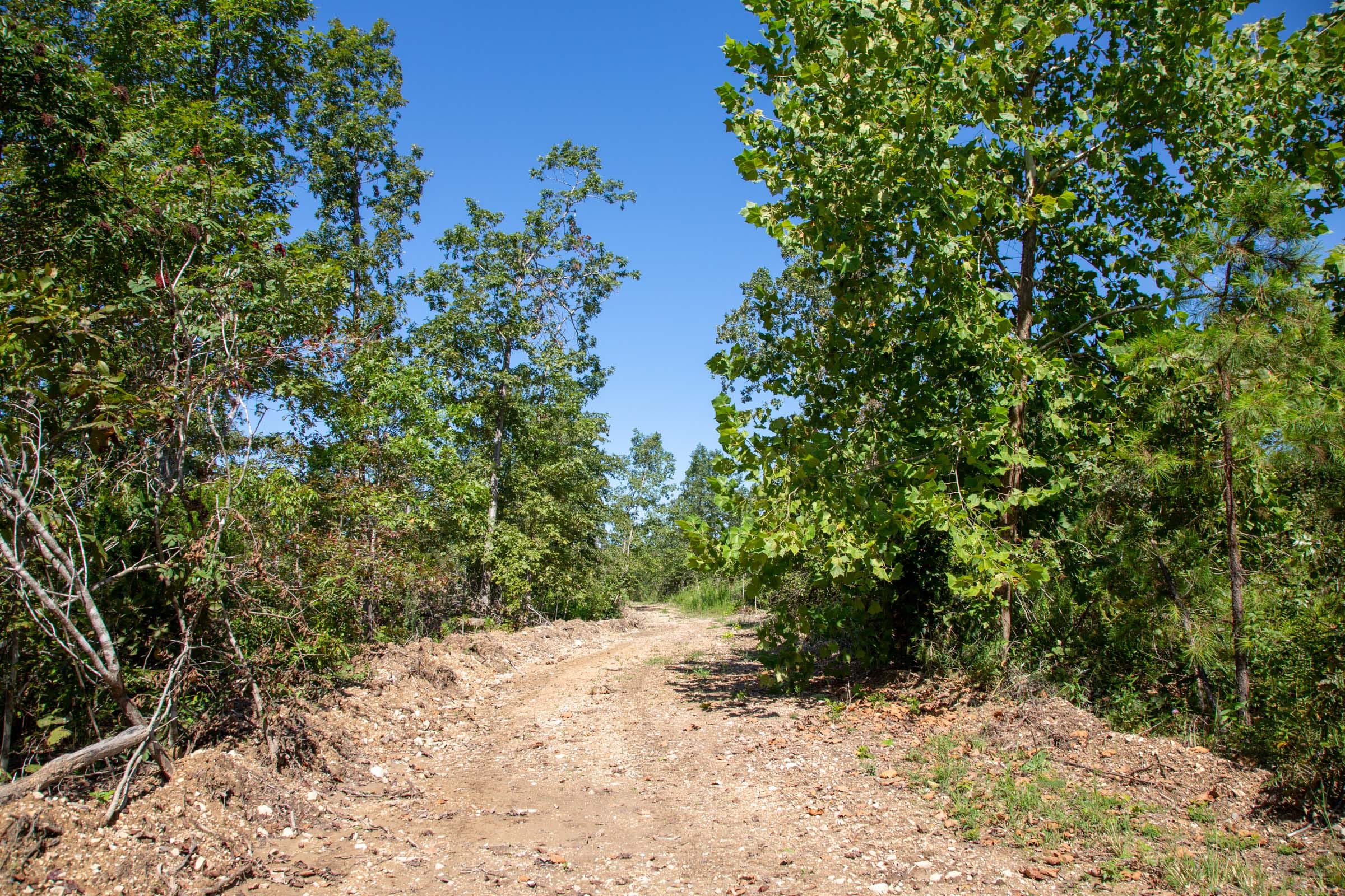 Borgmann’s Hollow Phase II Tract 56 photo 1