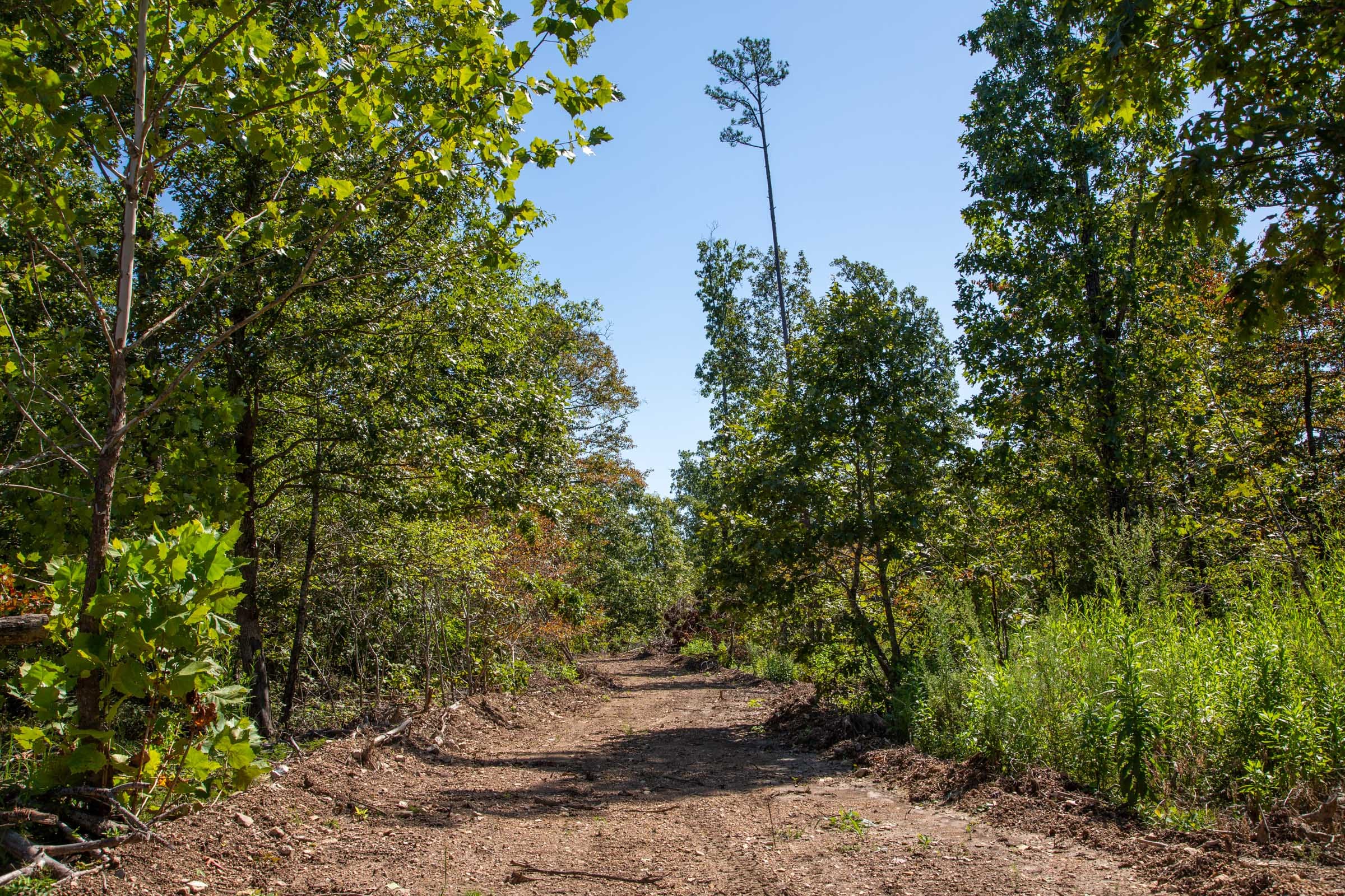 Borgmann’s Hollow Phase II Tract 56 photo 4