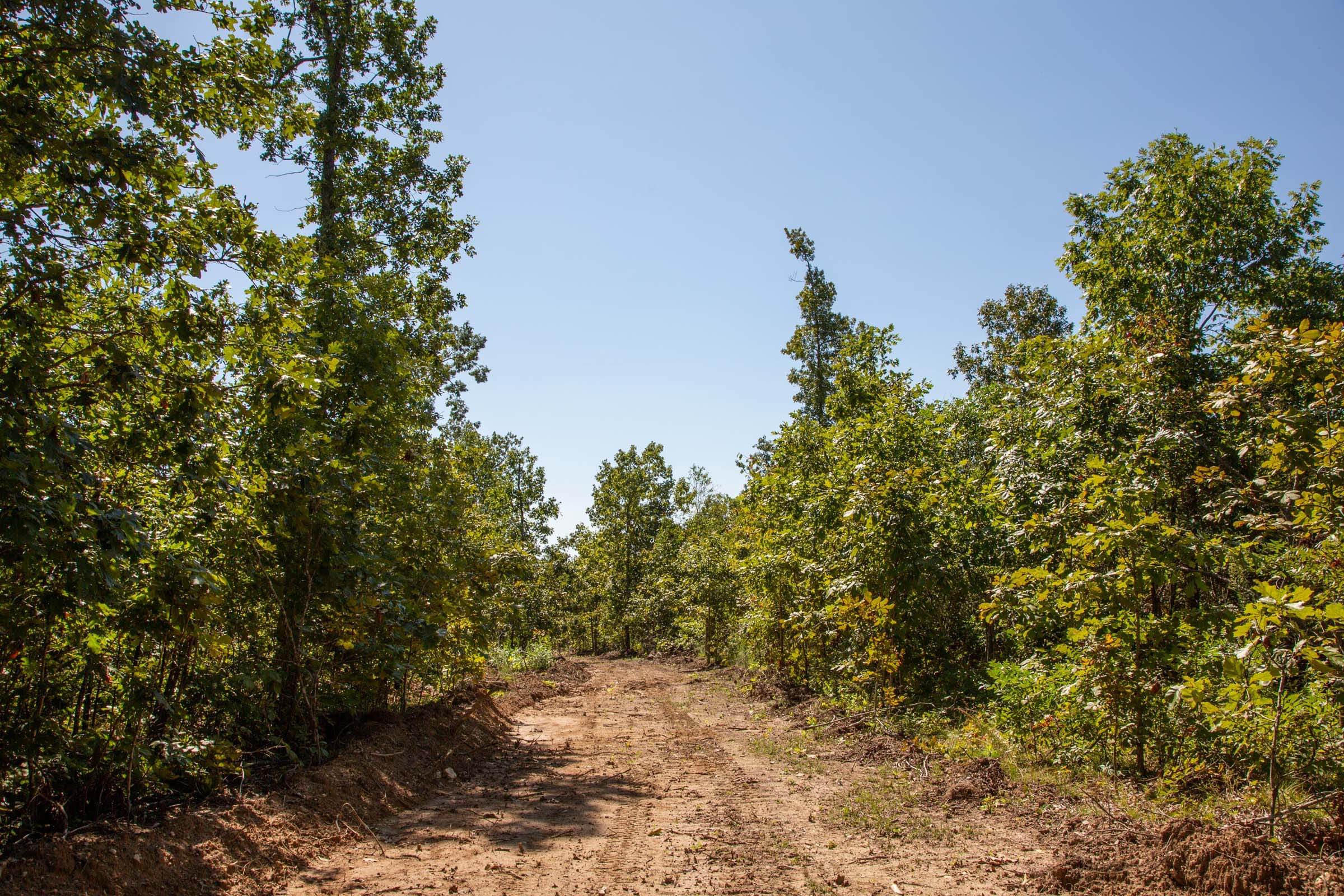Borgmann’s Hollow Phase II Tract 56 photo 8