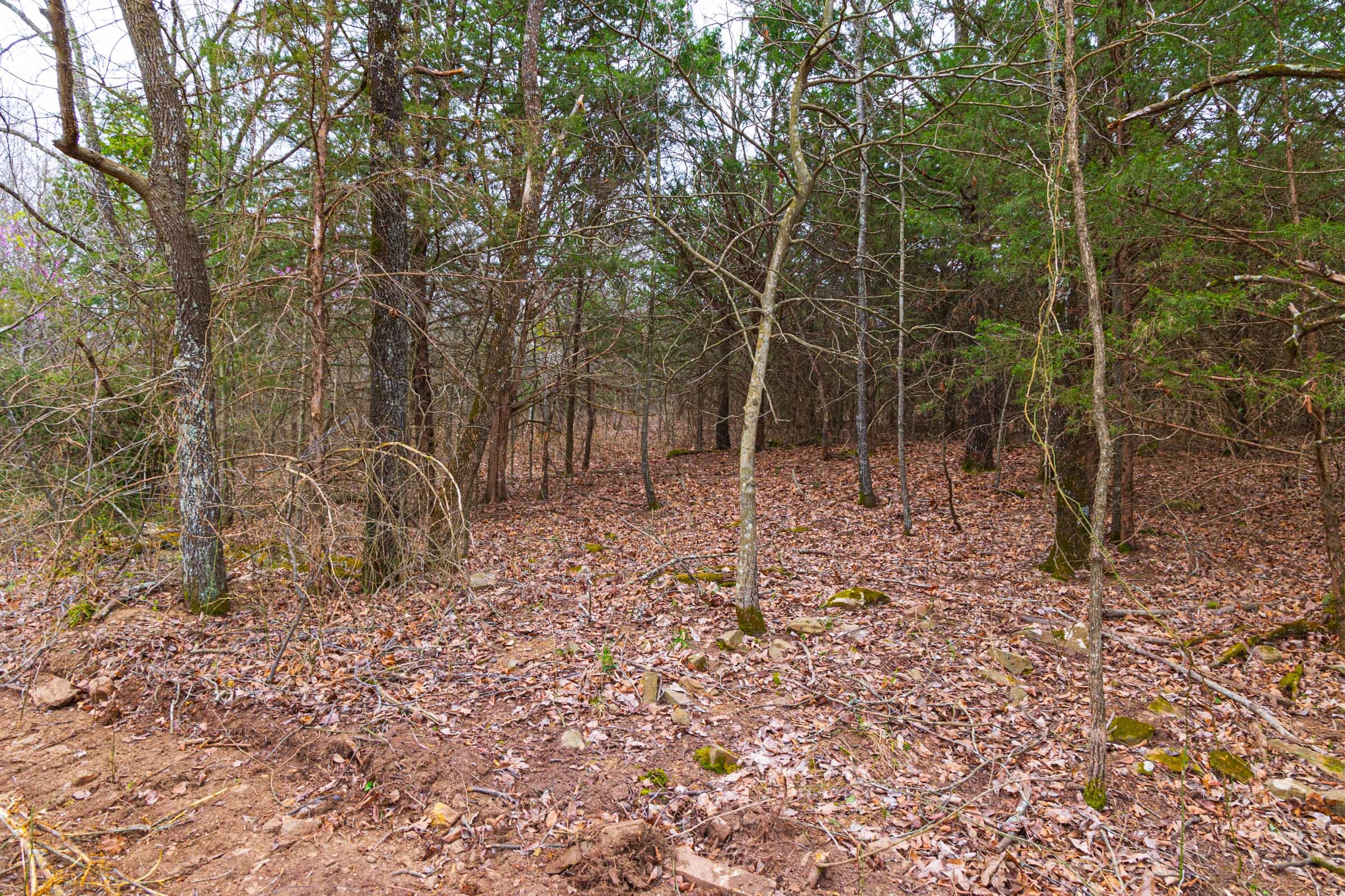 Reserves At Cattail Cove Phase I Tract 17 photo 20