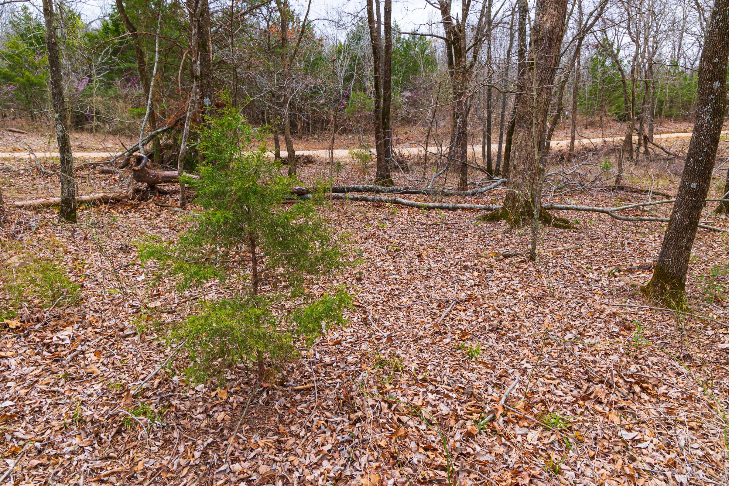 Reserves At Cattail Cove Phase I Tract 17 photo 18