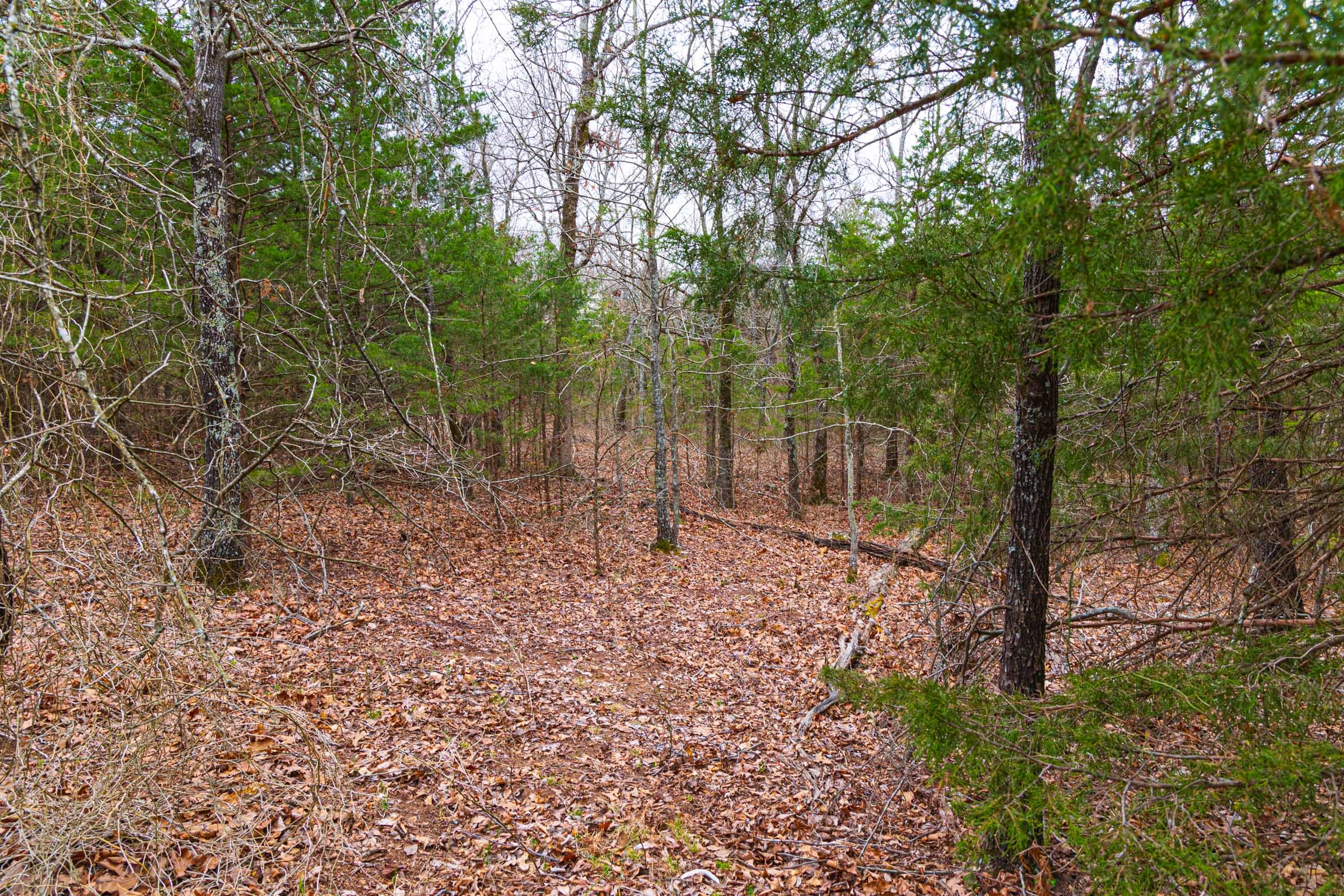 Reserves At Cattail Cove Phase I Tract 17 photo 17