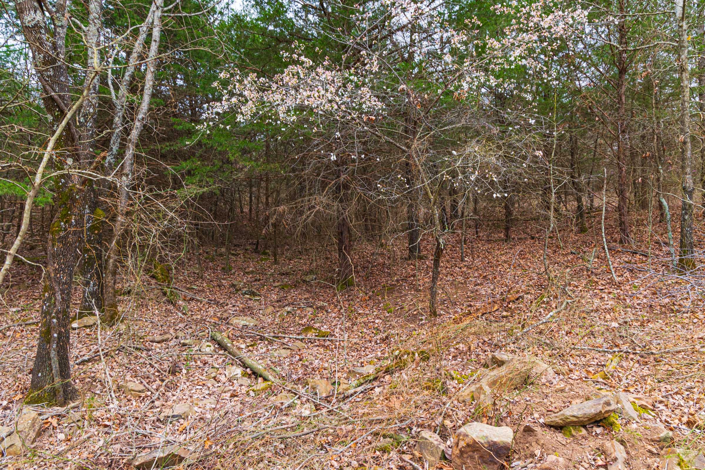 Reserves At Cattail Cove Phase I Tract 17 photo 16