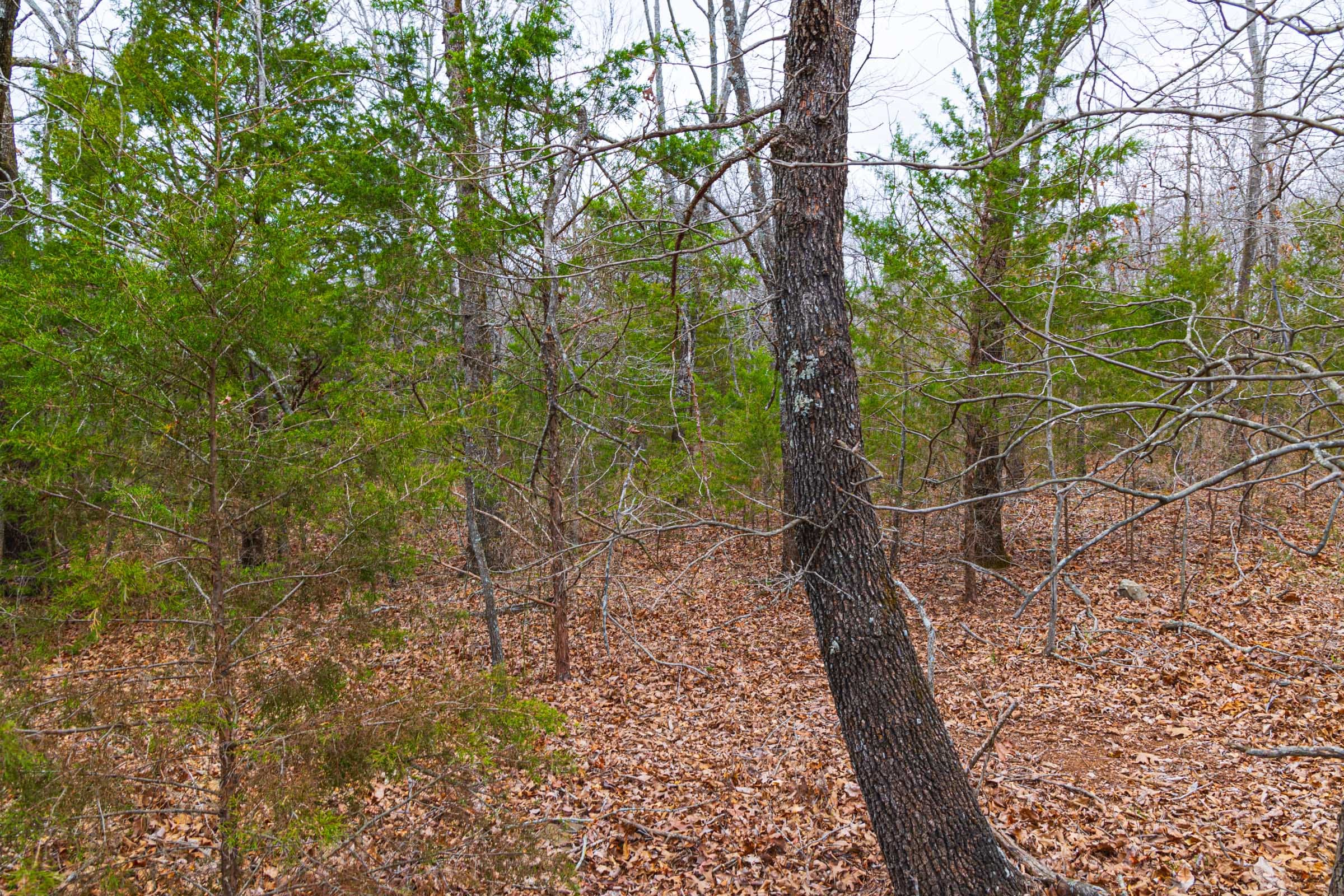 Reserves At Cattail Cove Phase I Tract 17 photo 12