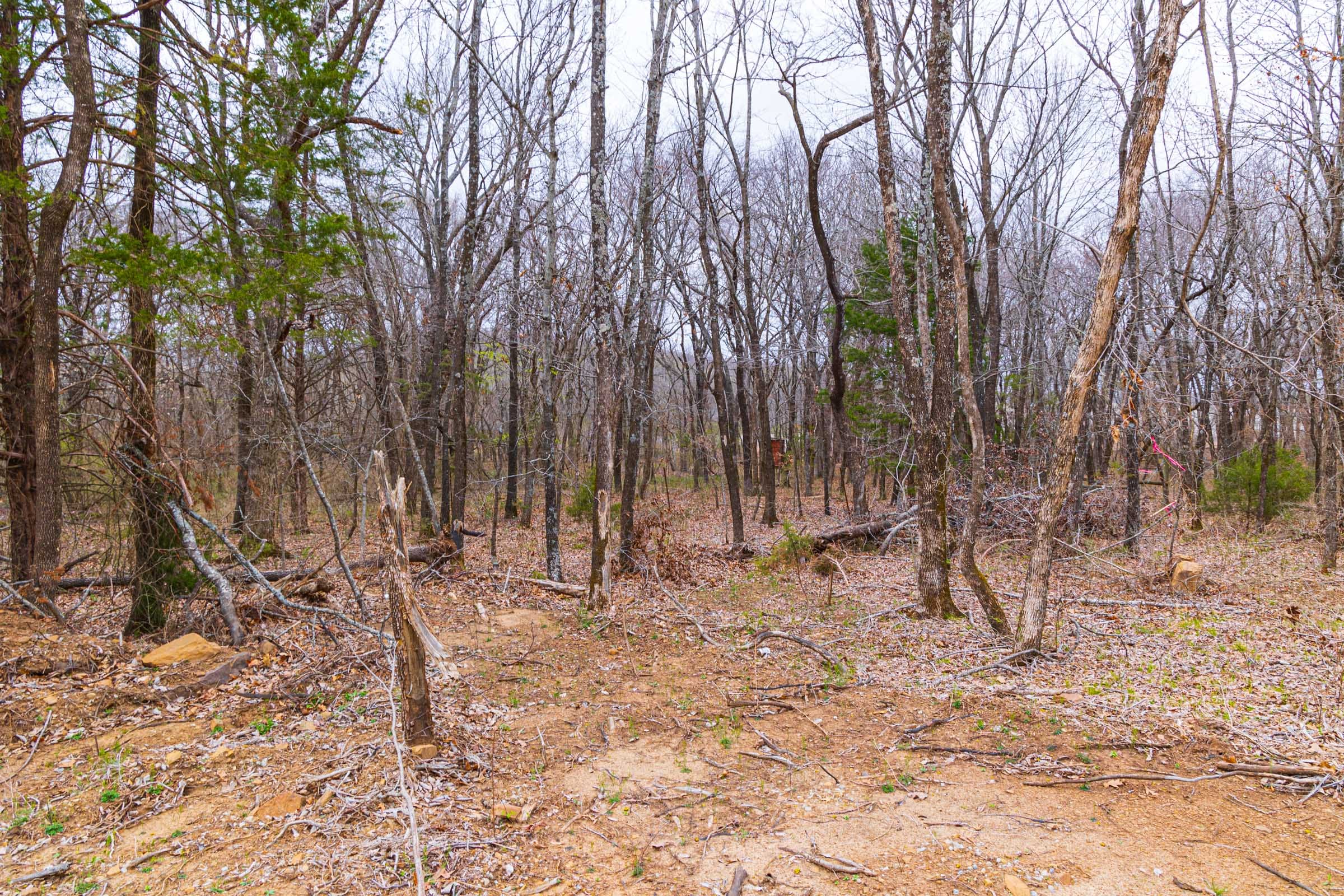 Reserves At Cattail Cove Phase I Tract 17 photo 3
