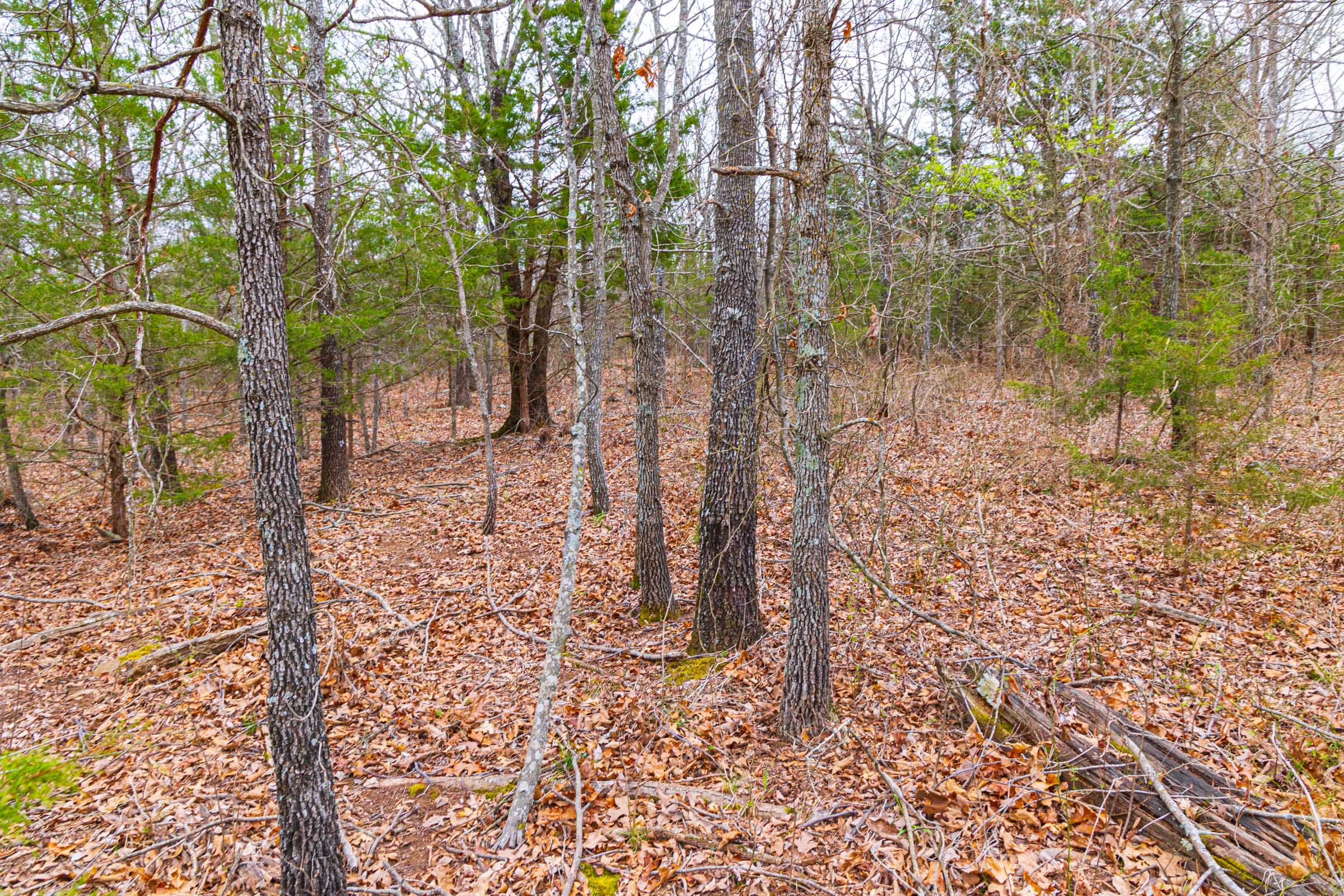 Reserves At Cattail Cove Phase I Tract 17 photo 8