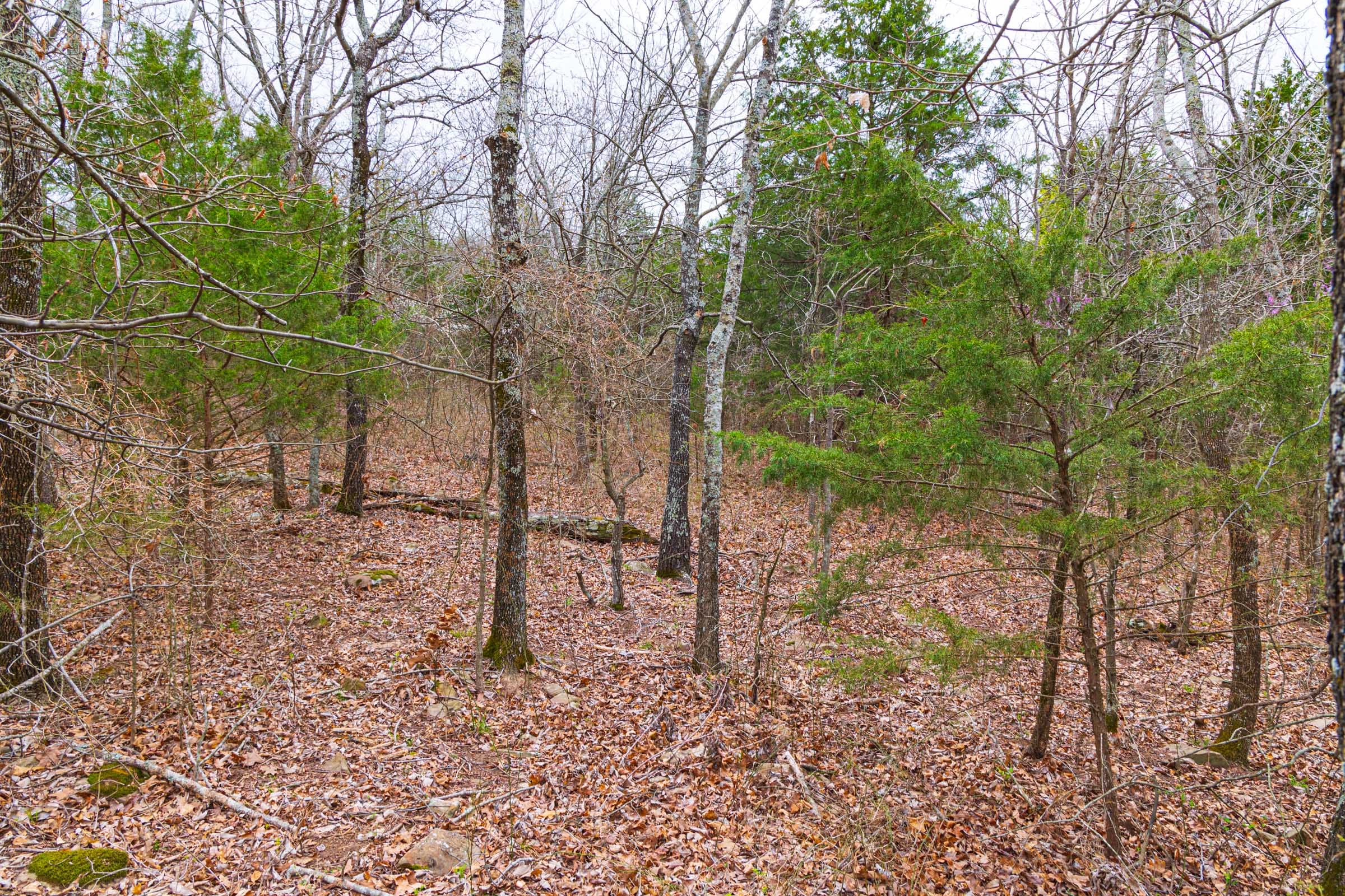 Reserves At Cattail Cove Phase I Tract 17 photo 7