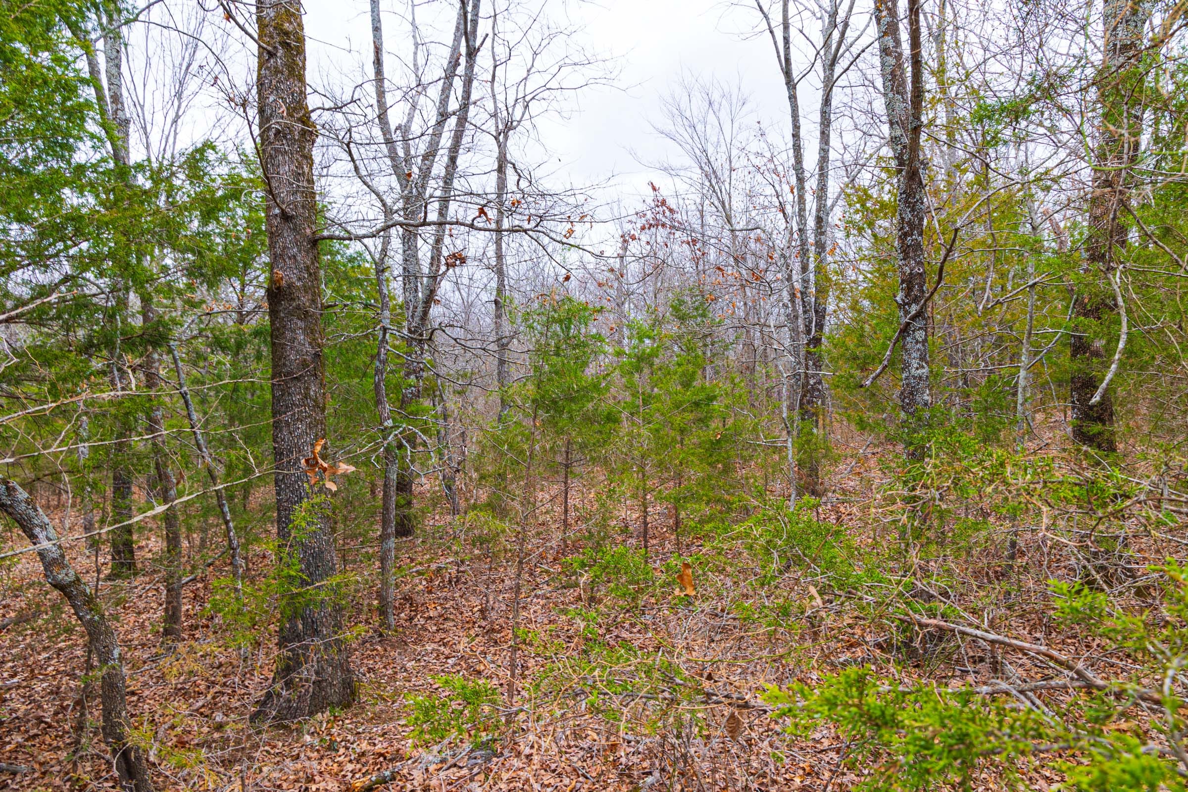 Reserves At Cattail Cove Phase I Tract 17 photo 6