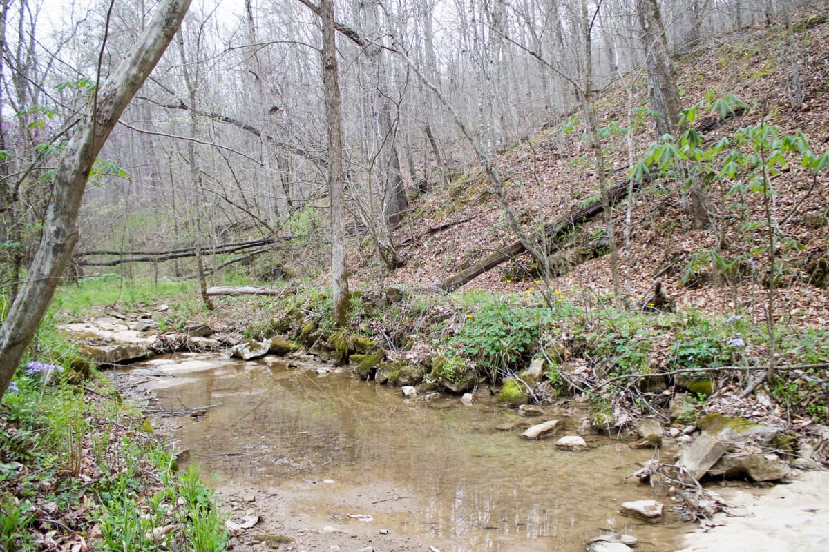 Chestnut Oak Ridge Tract 8 photo 2