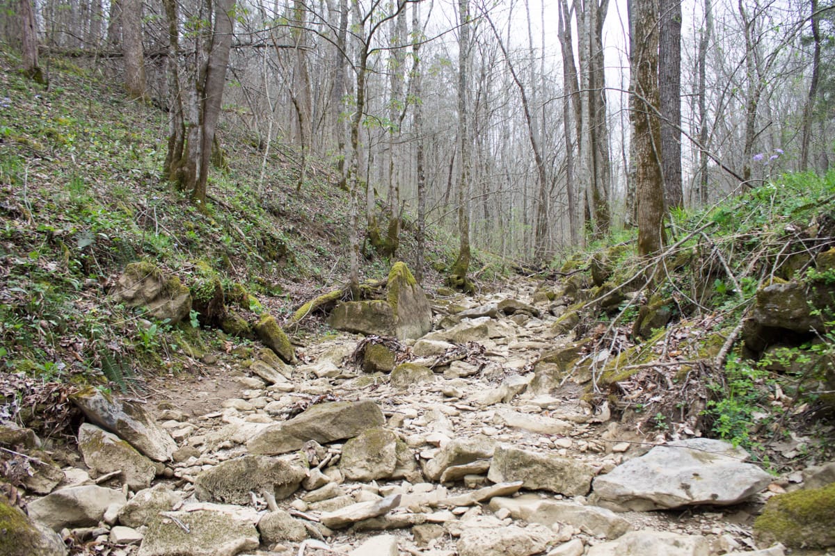 Chestnut Oak Ridge Tract 8 photo 3