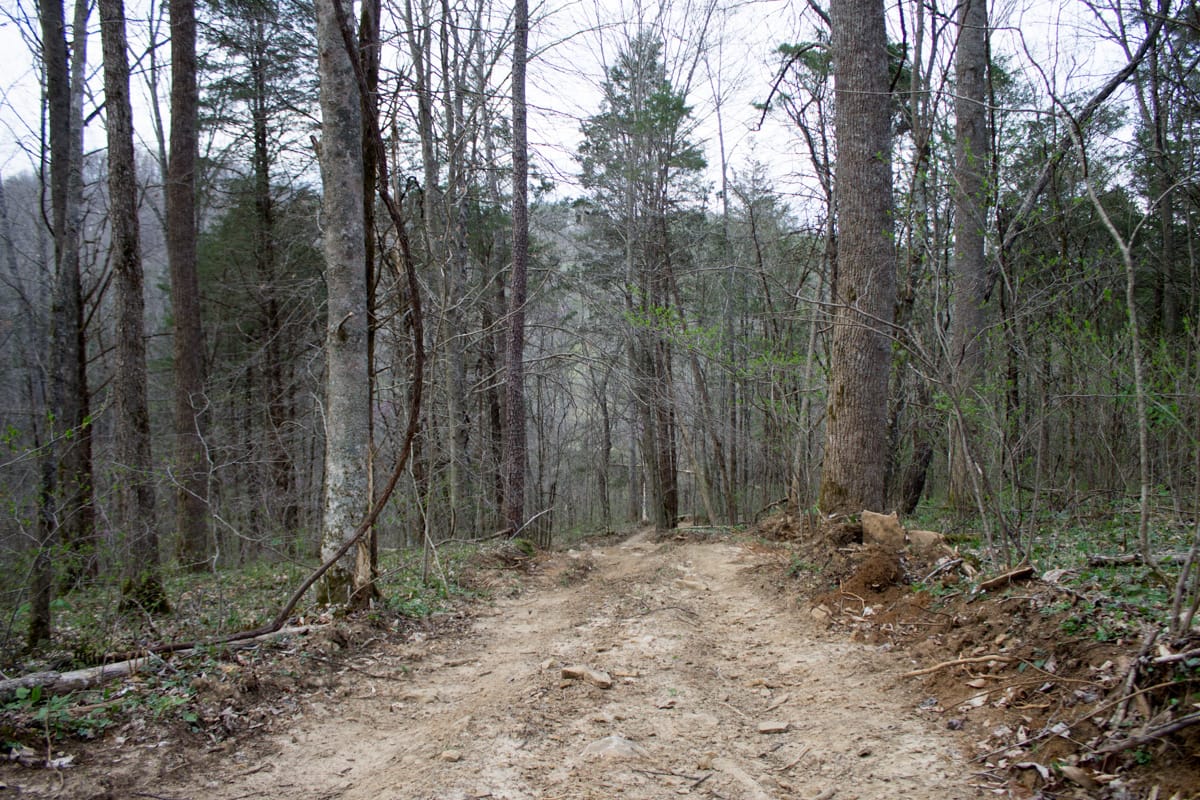 Chestnut Oak Ridge Tract 8 photo 1