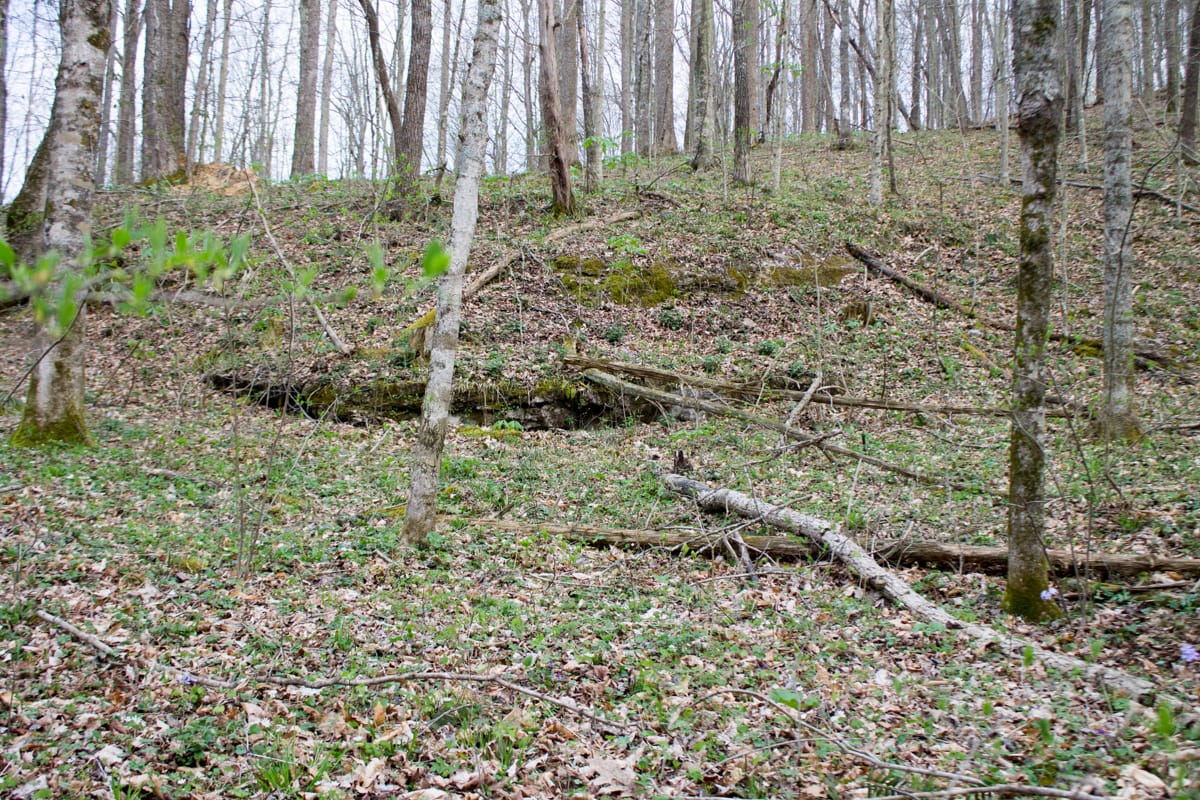 Chestnut Oak Ridge Tract 8 photo 13