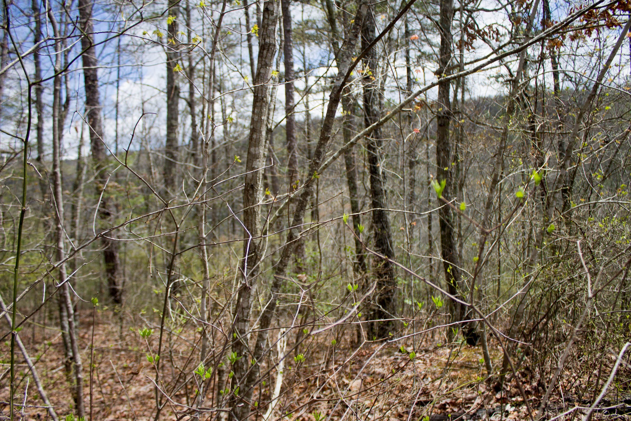 Hidden Hills Tract 27 photo 3