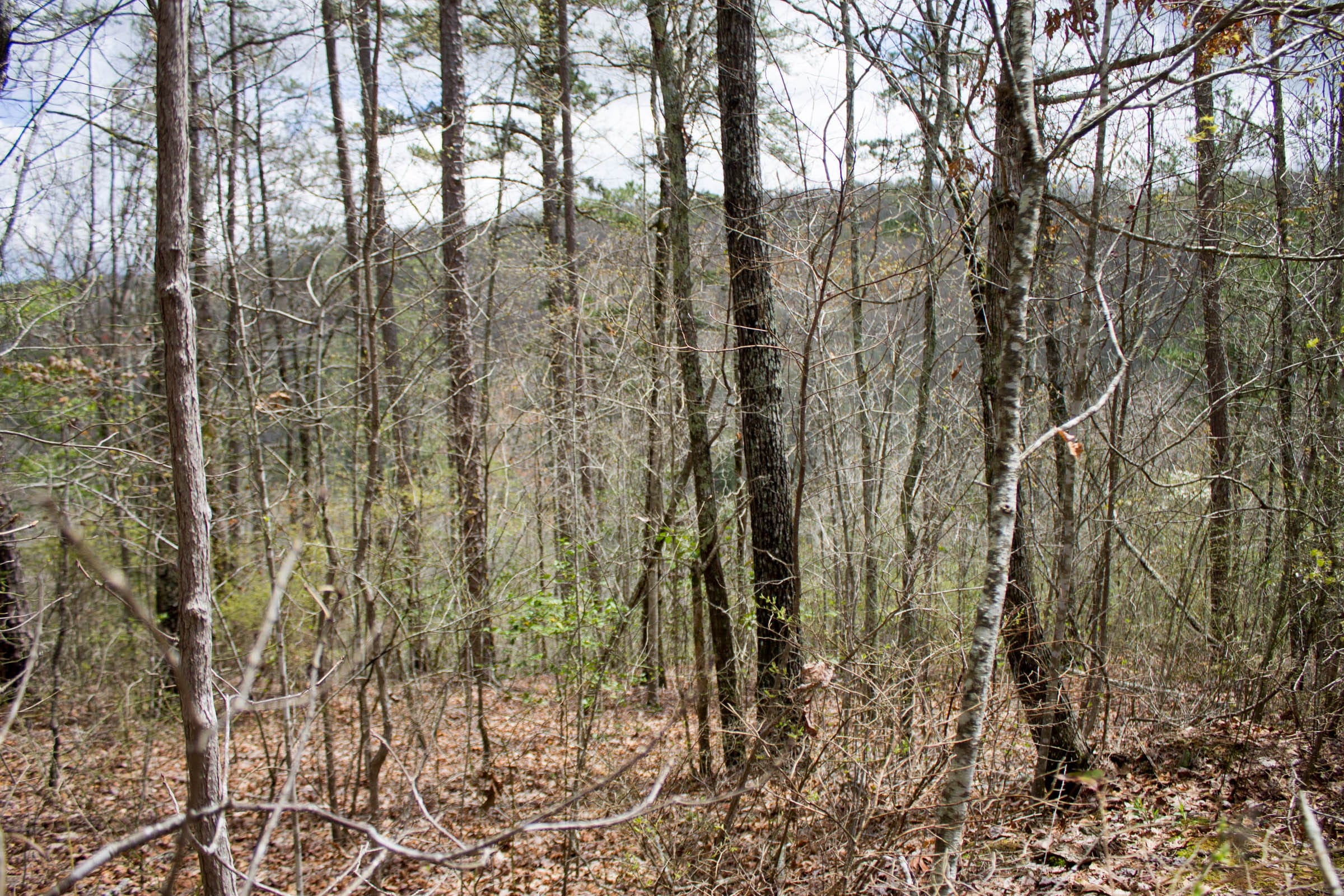 Hidden Hills Tract 27 photo 4
