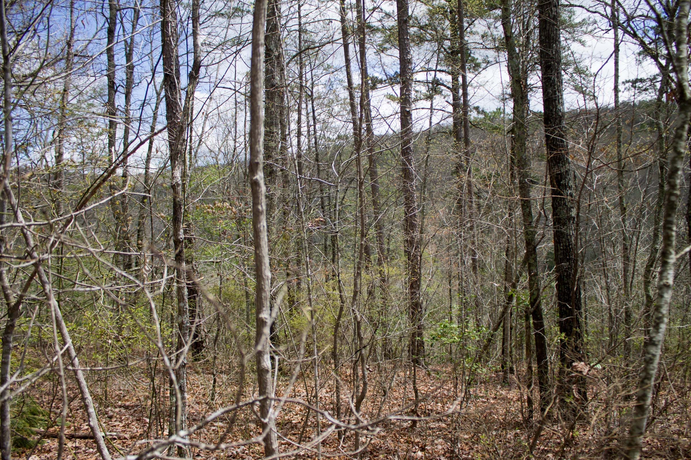 Hidden Hills Tract 27 photo 5