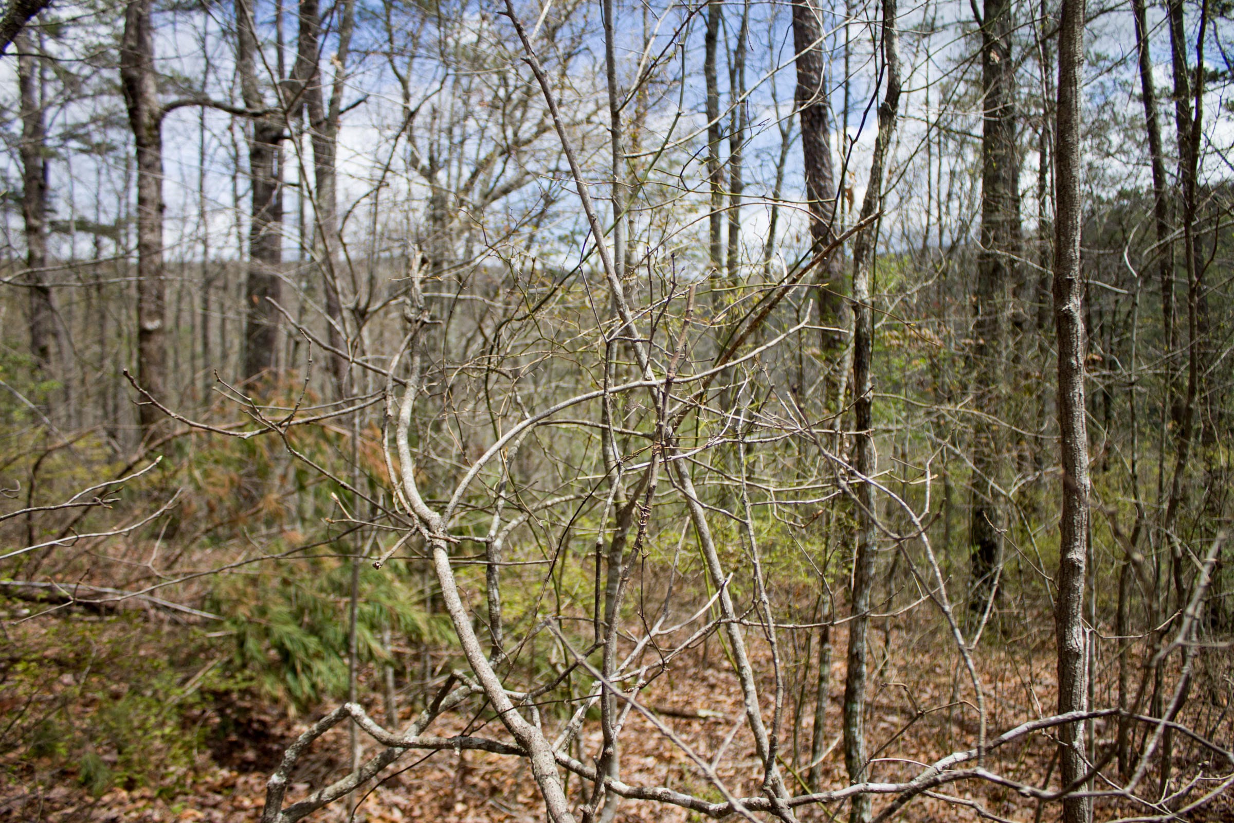 Hidden Hills Tract 27 photo 6