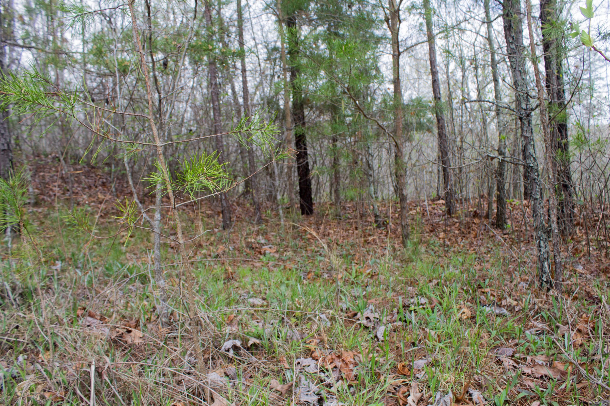 Hidden Hills Tract 27 photo 8