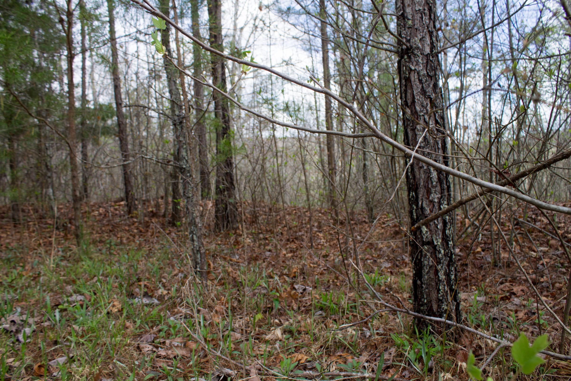 Hidden Hills Tract 27 photo 9